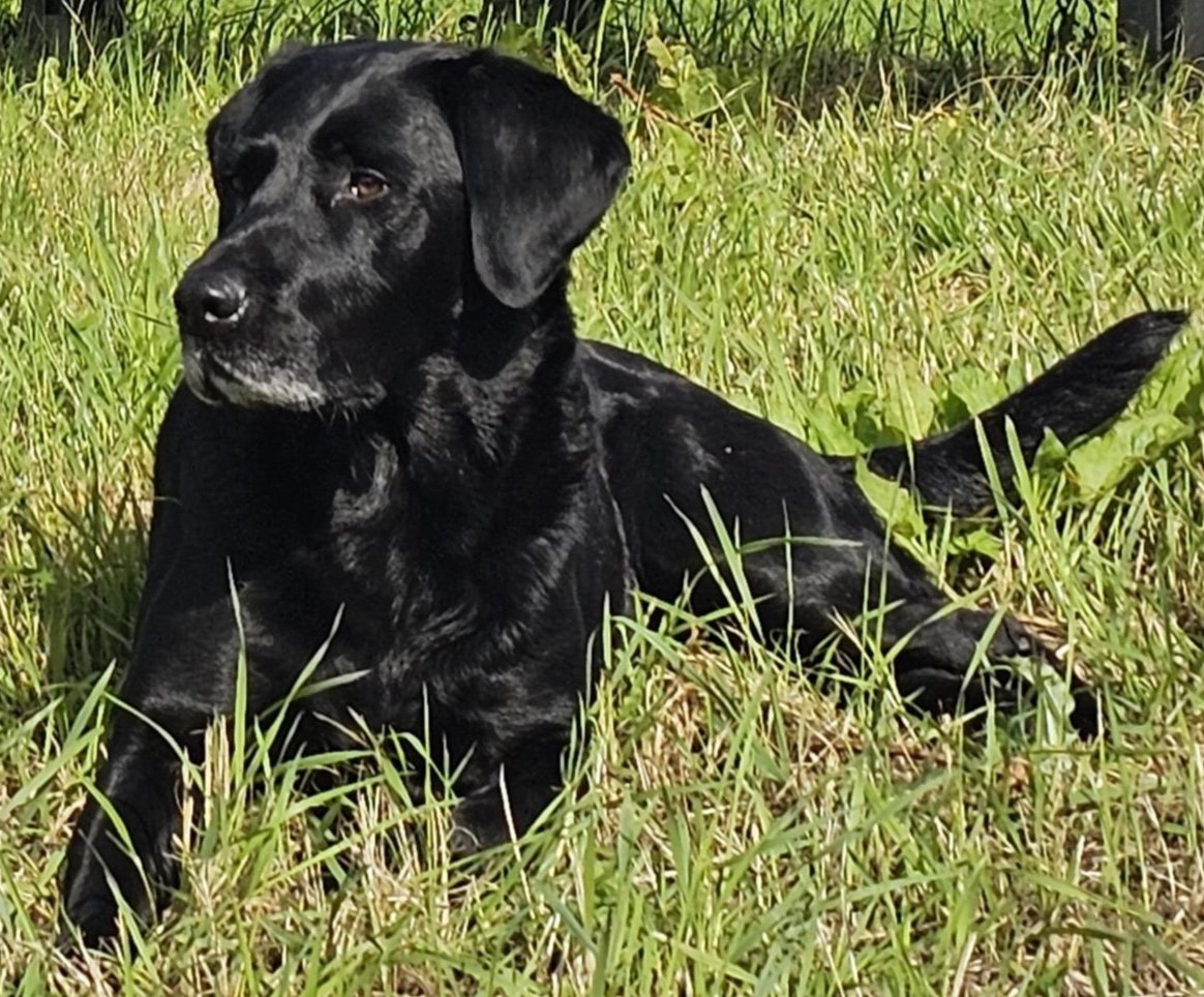 Murphy