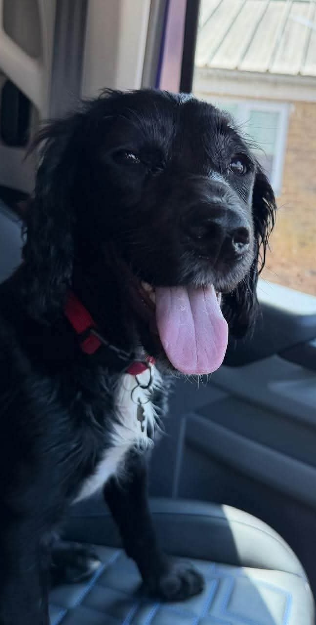 Bonnie