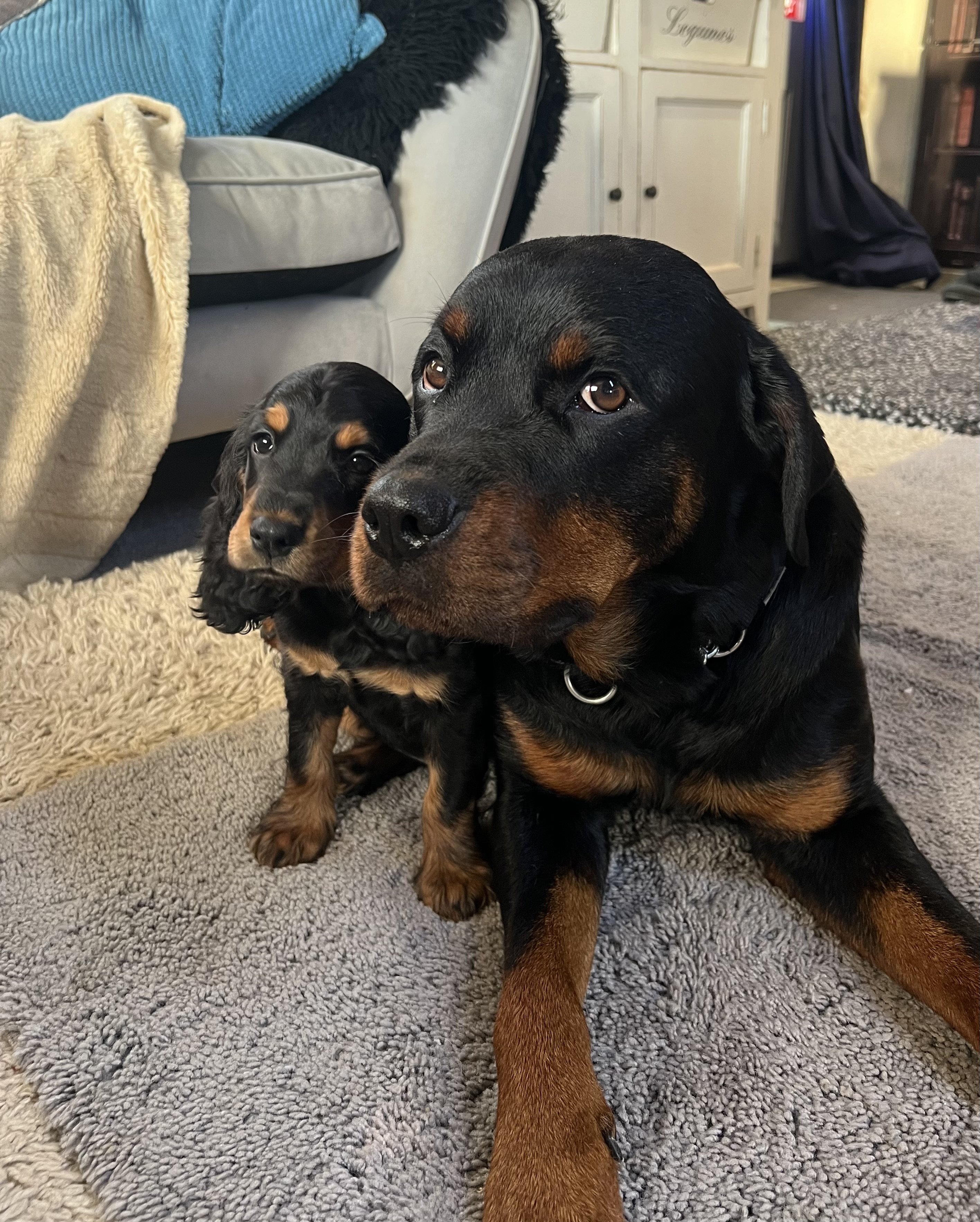 Nala