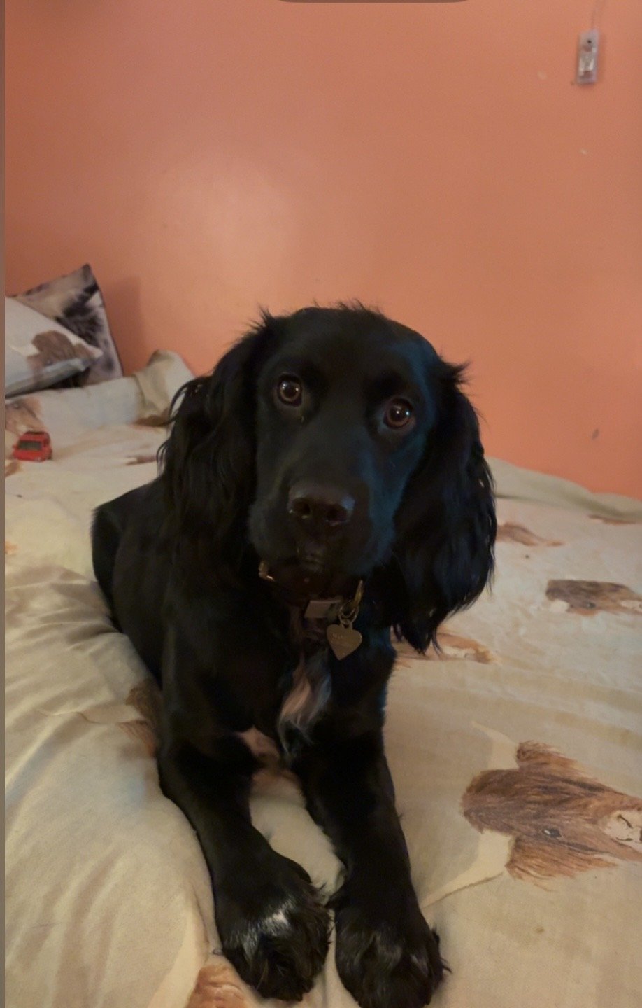 Charlie