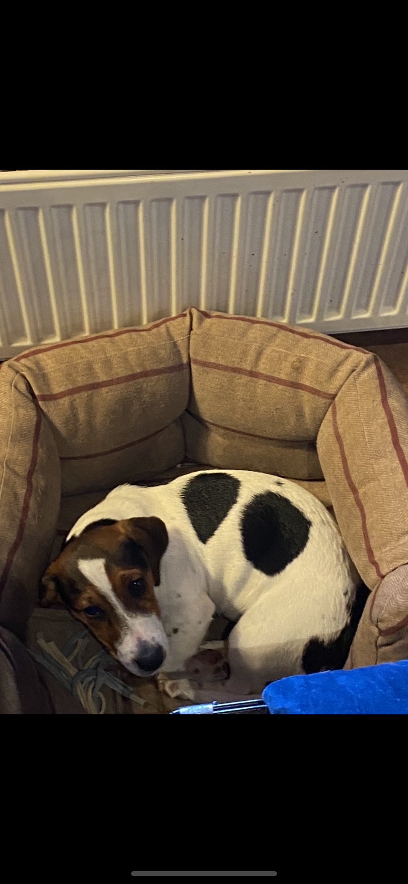 Tilly