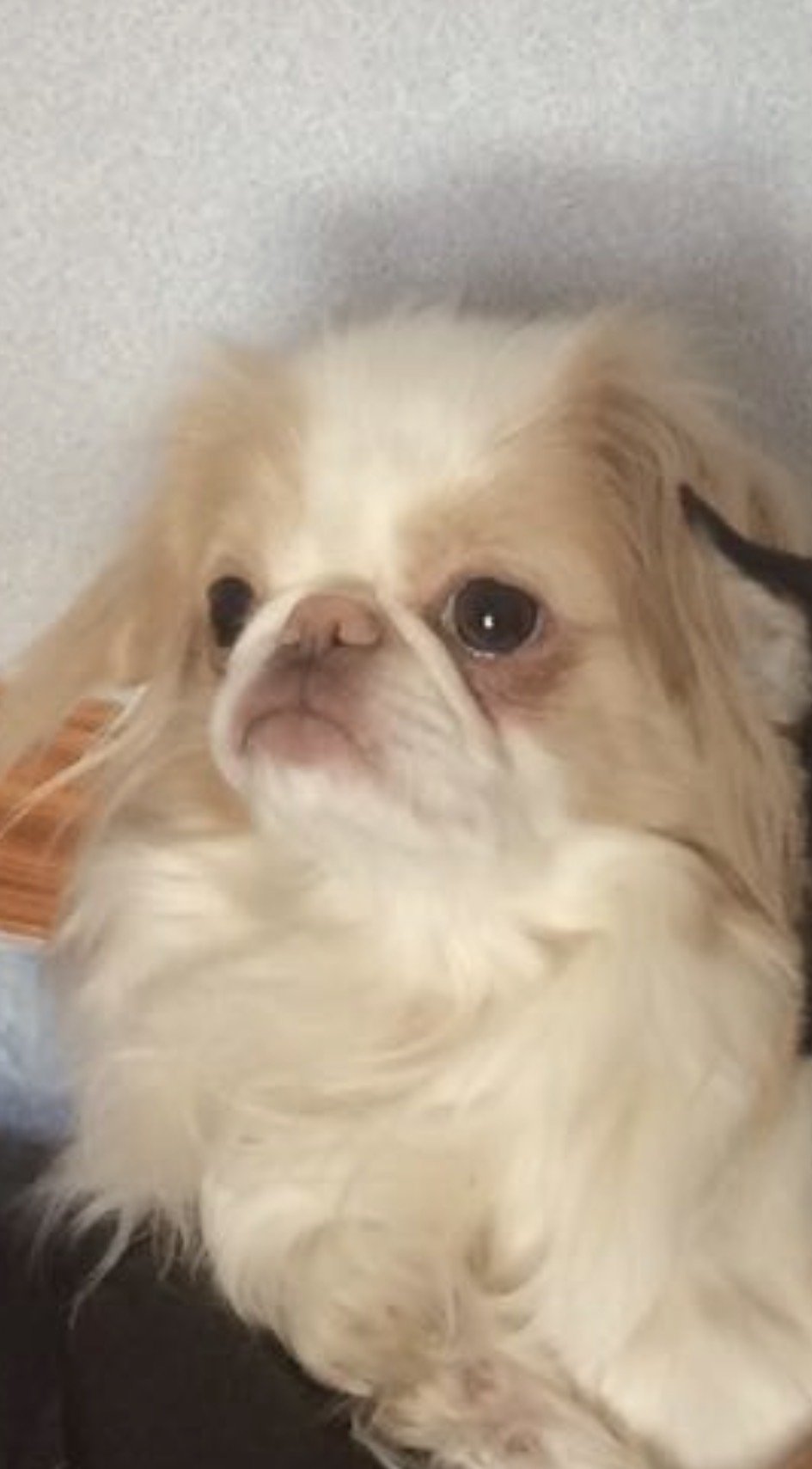 Mikey (meeky)