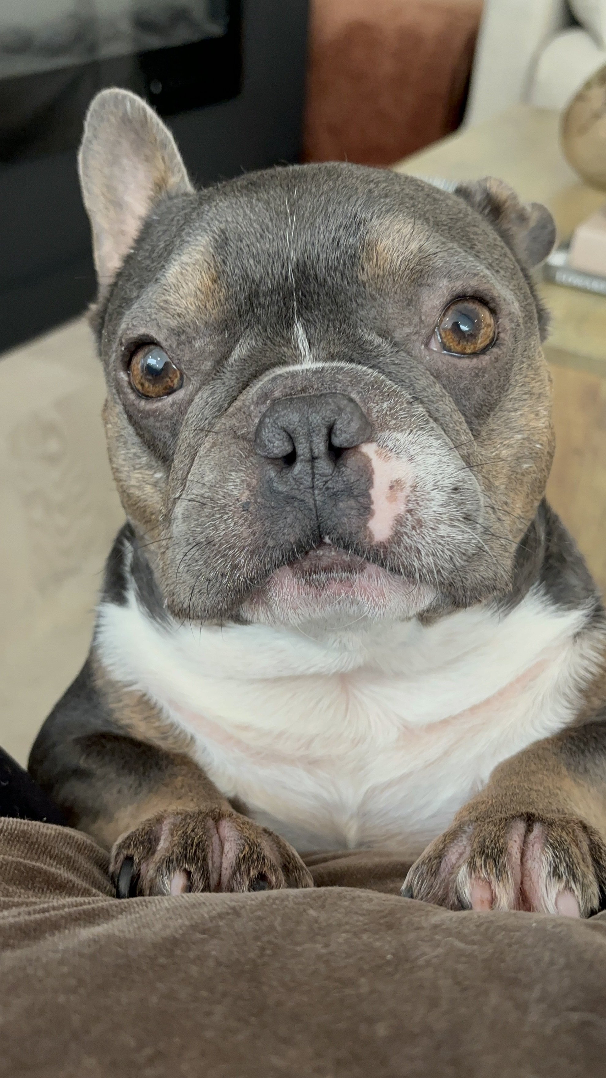 Ziggy