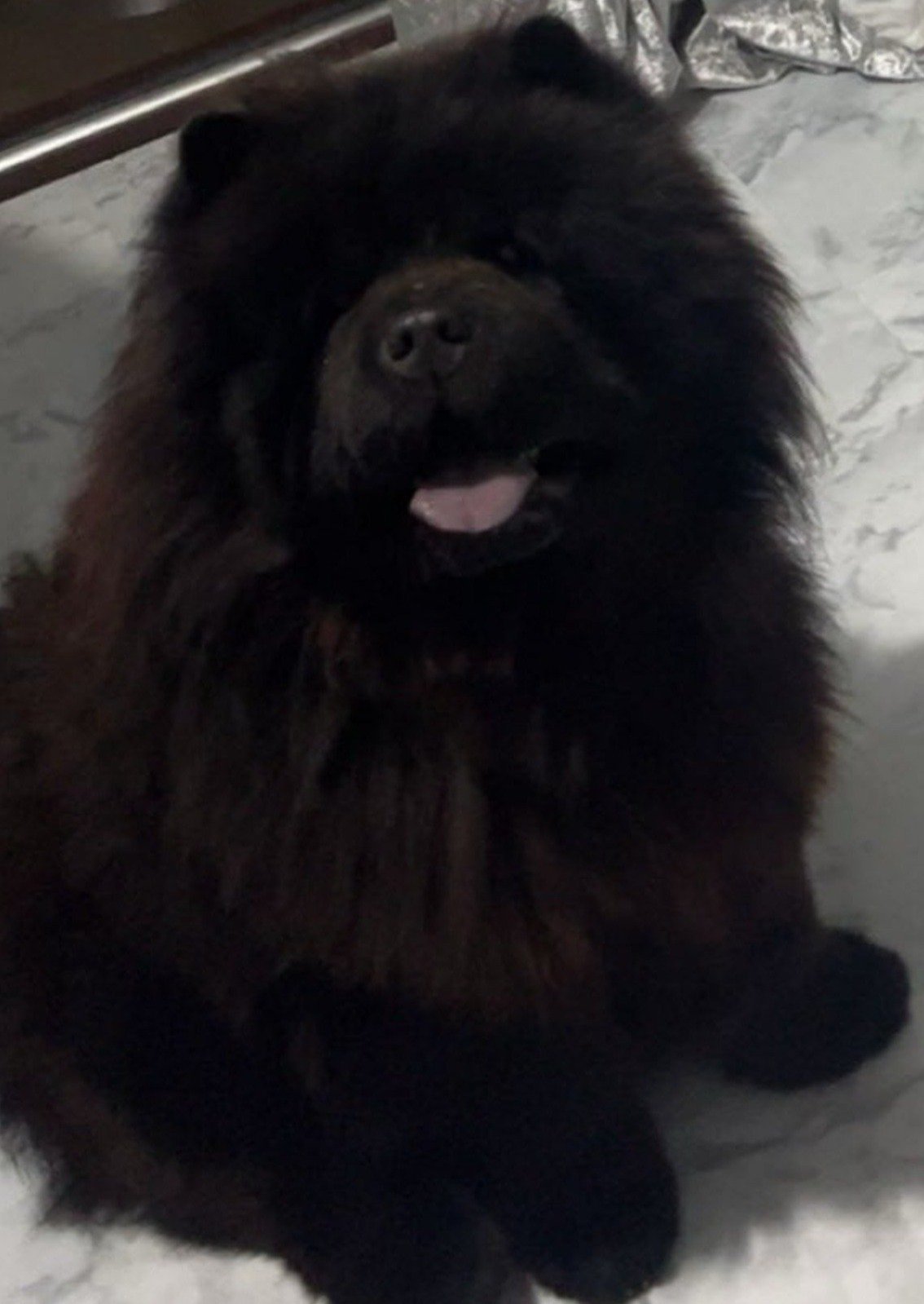 Zues