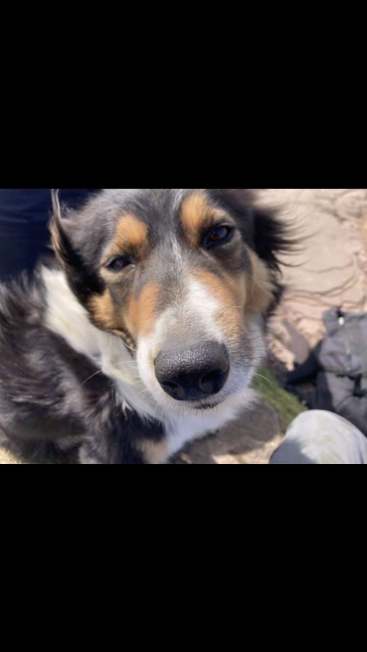 Maggie