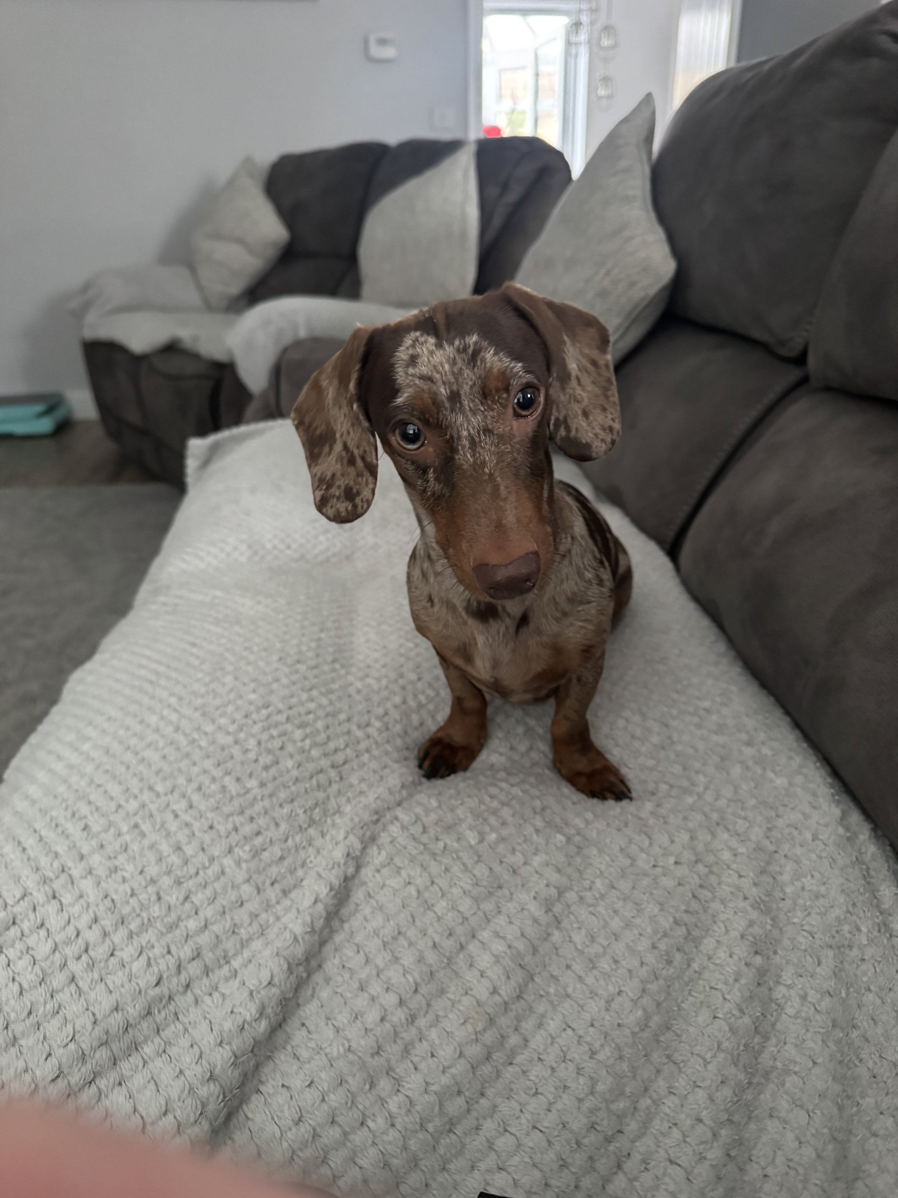 nala
