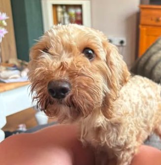 Millie