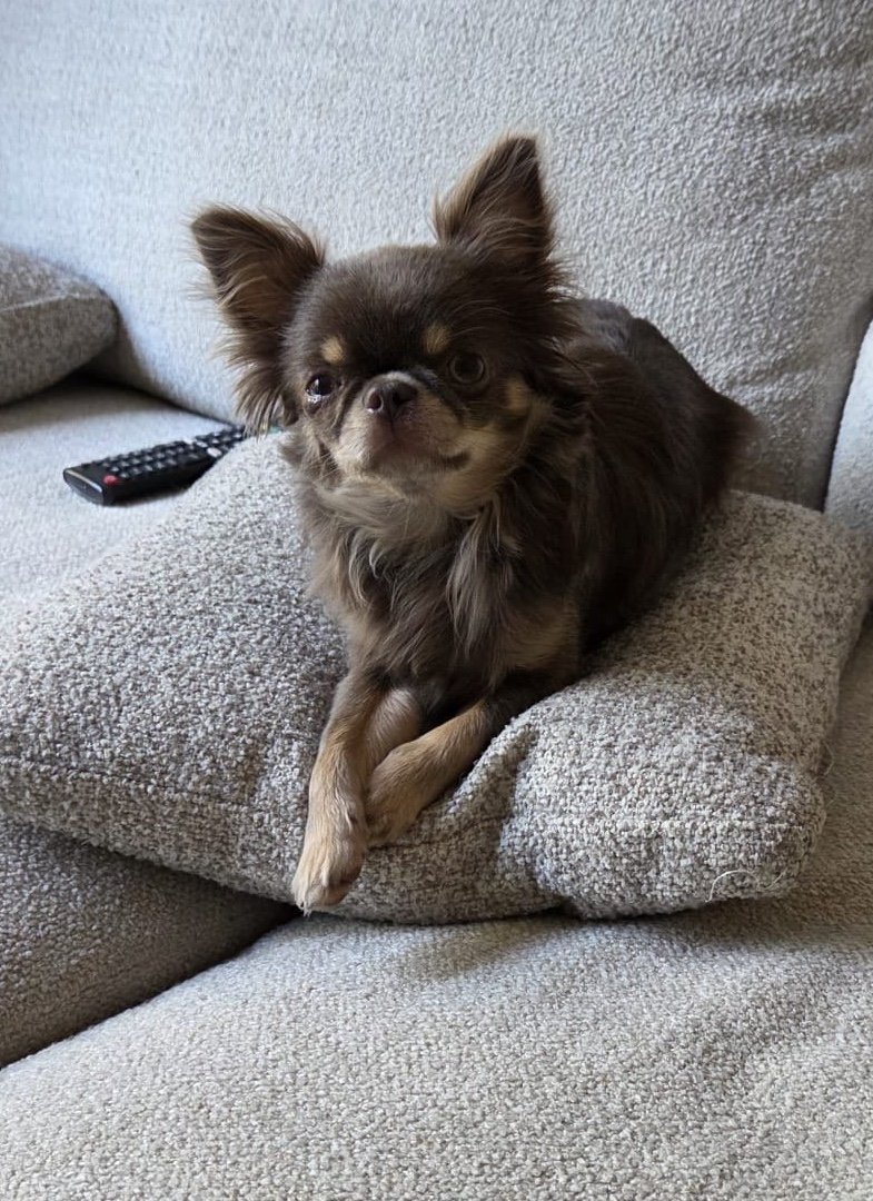 Bella