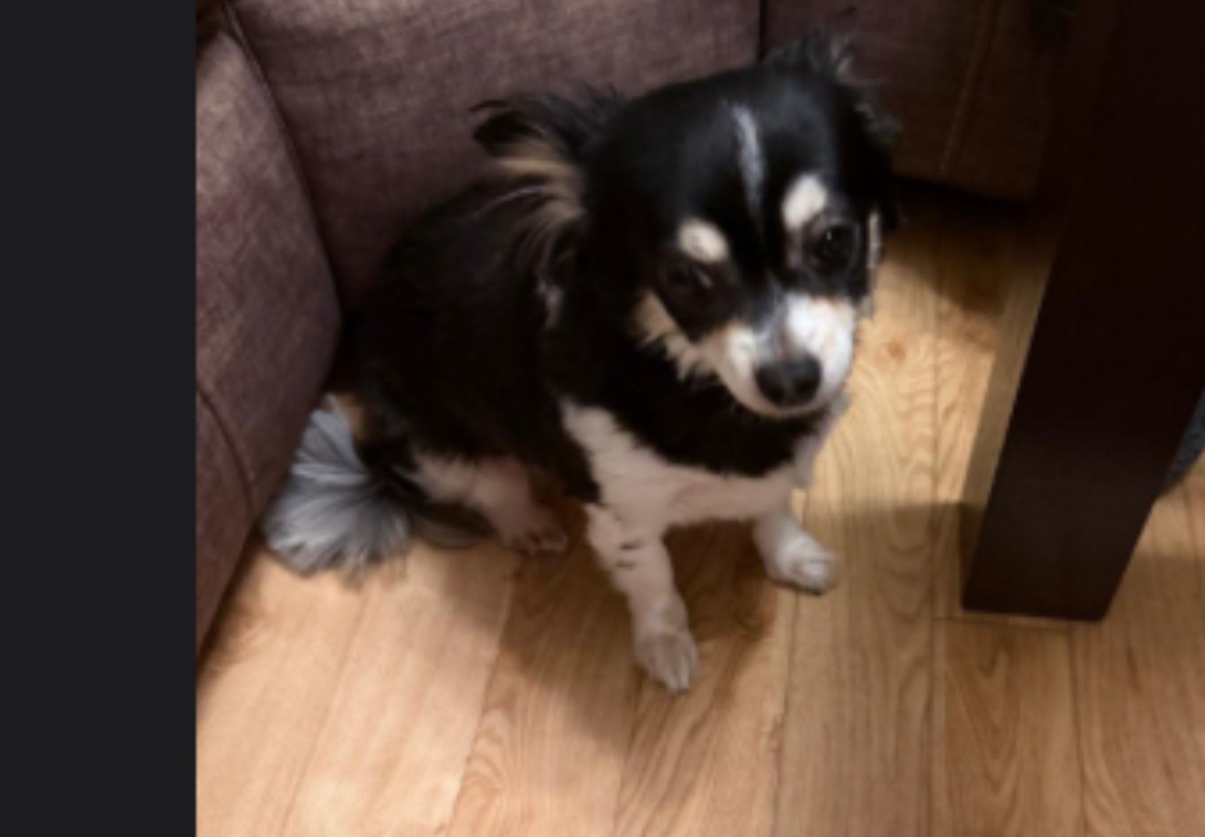 Maya