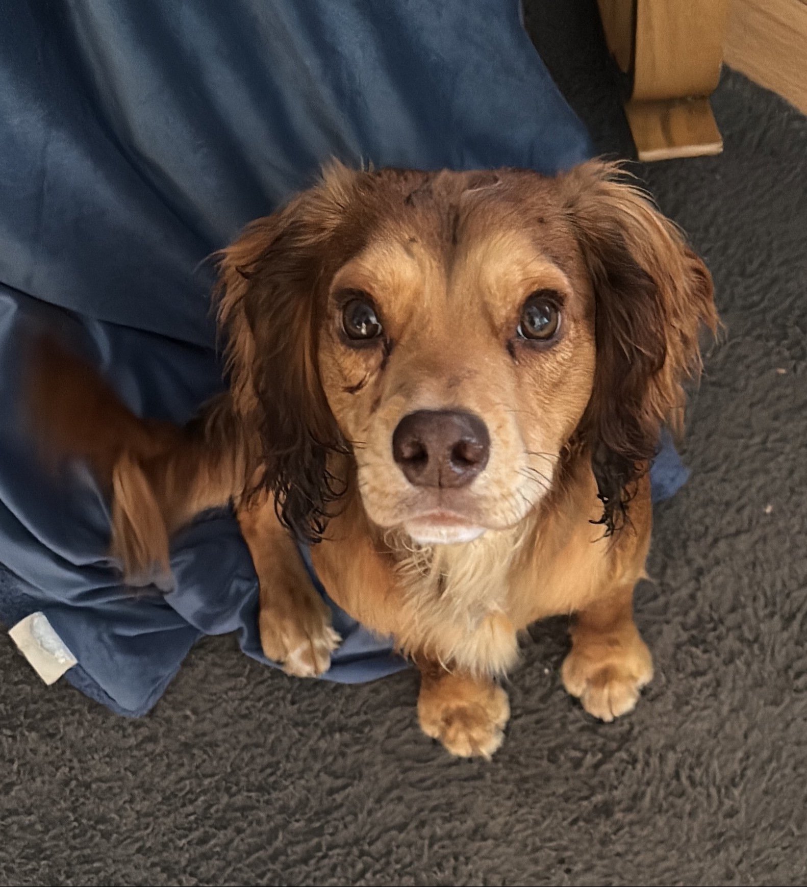 Caramel