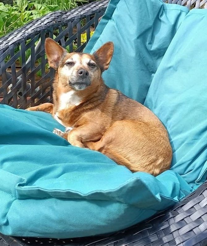 Millie