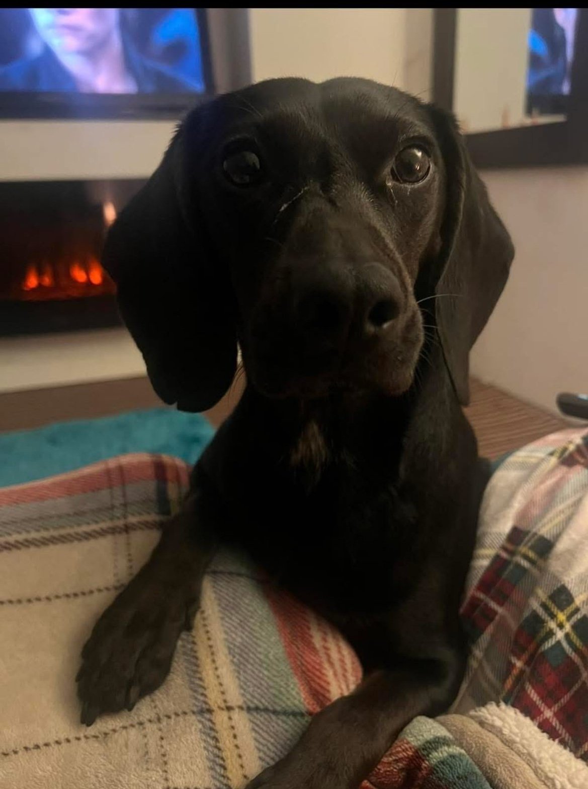 Ruby