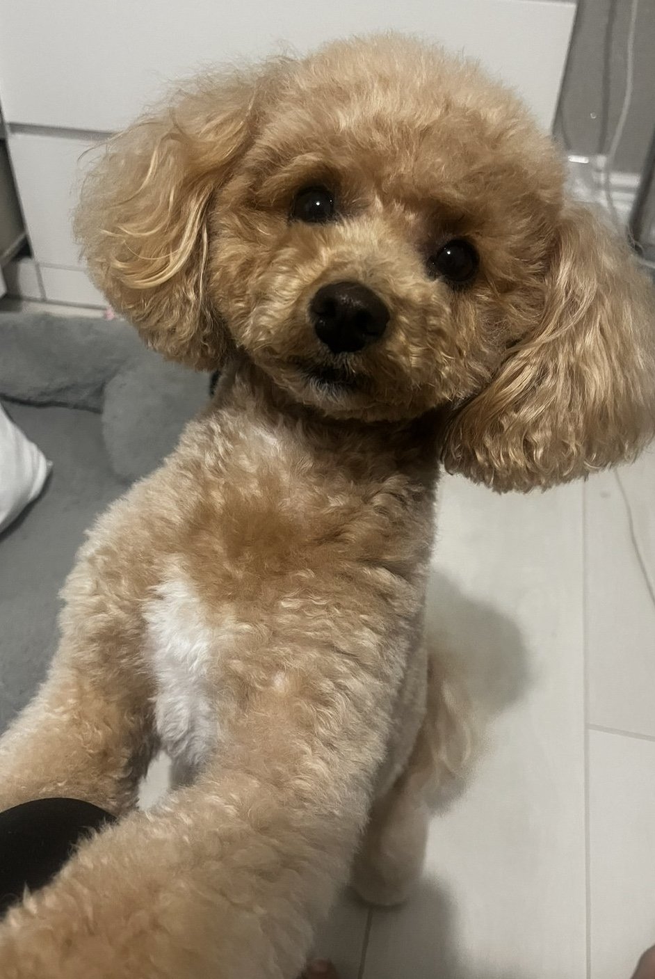 Maggie