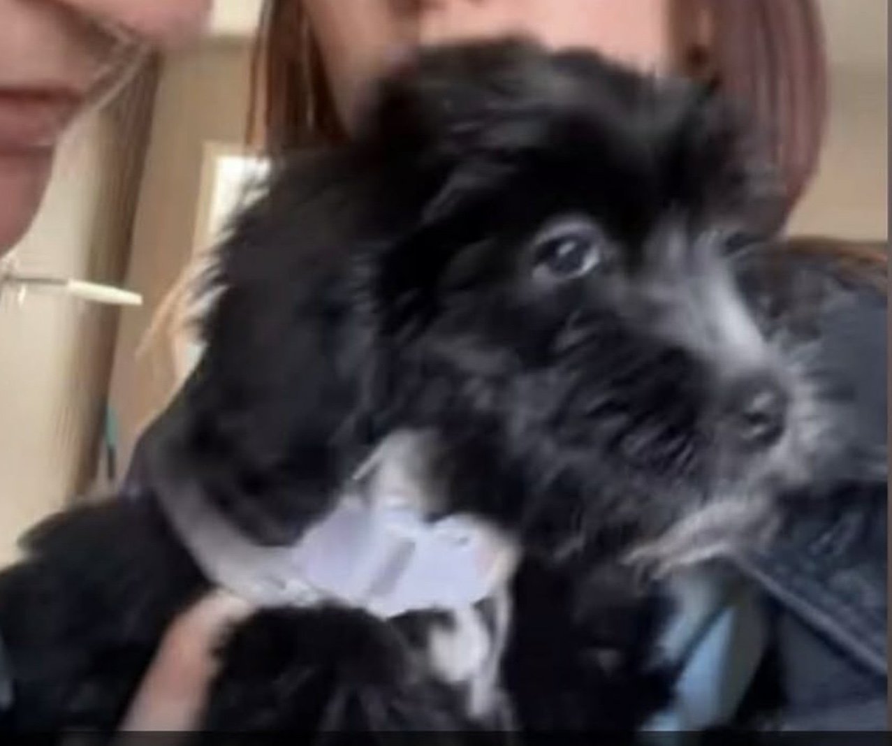 Rosie