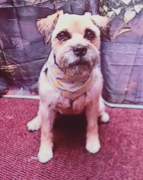 Muffin