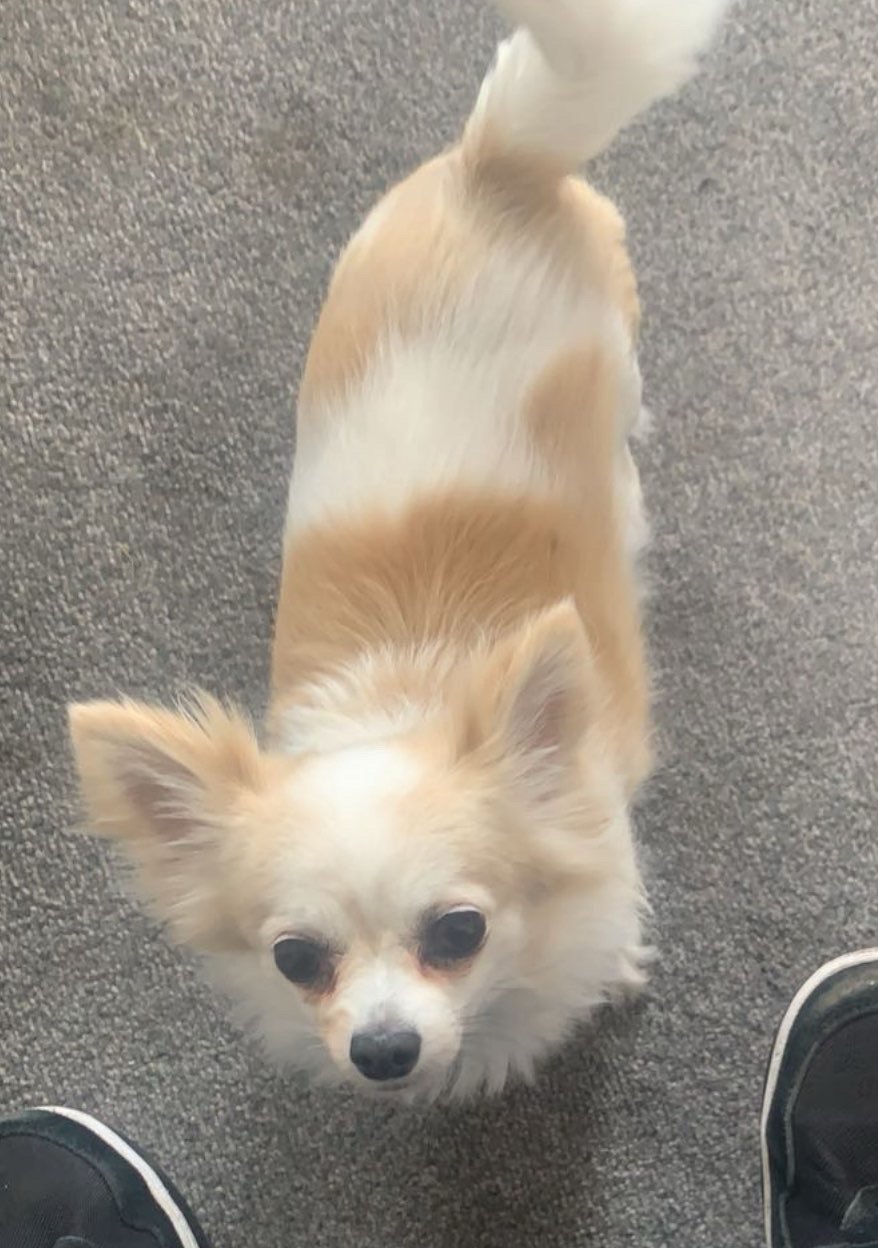 Sonny