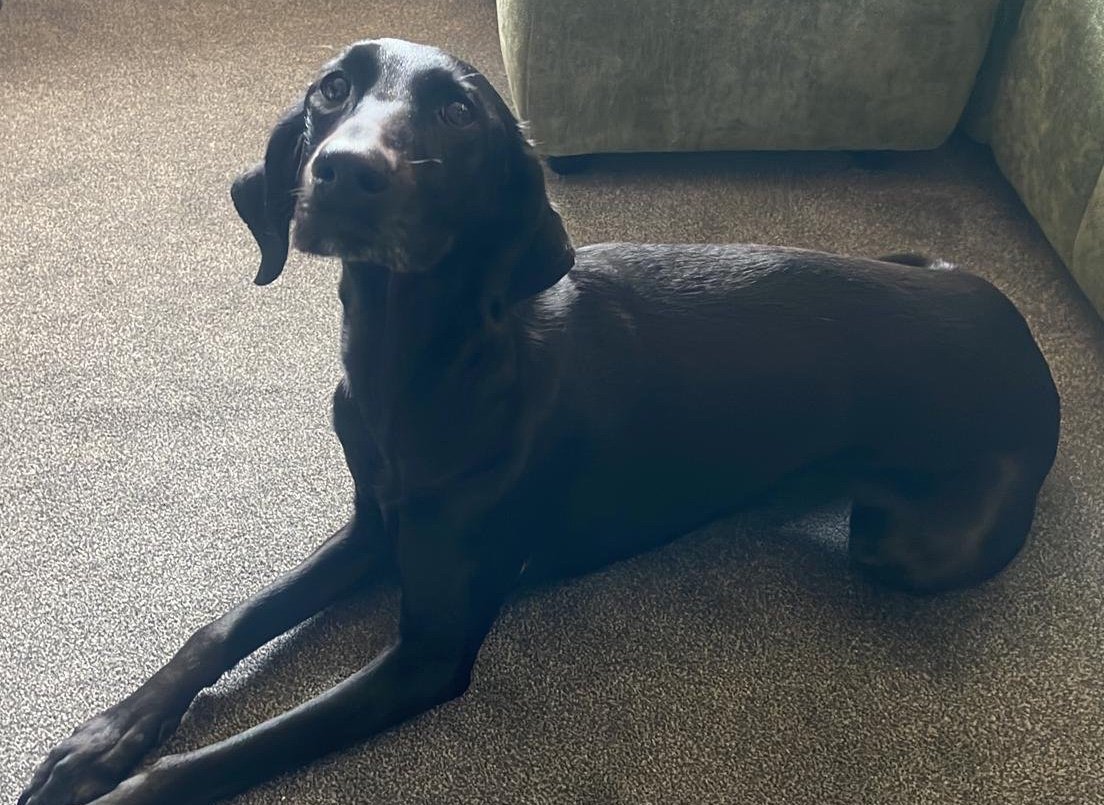 Luna