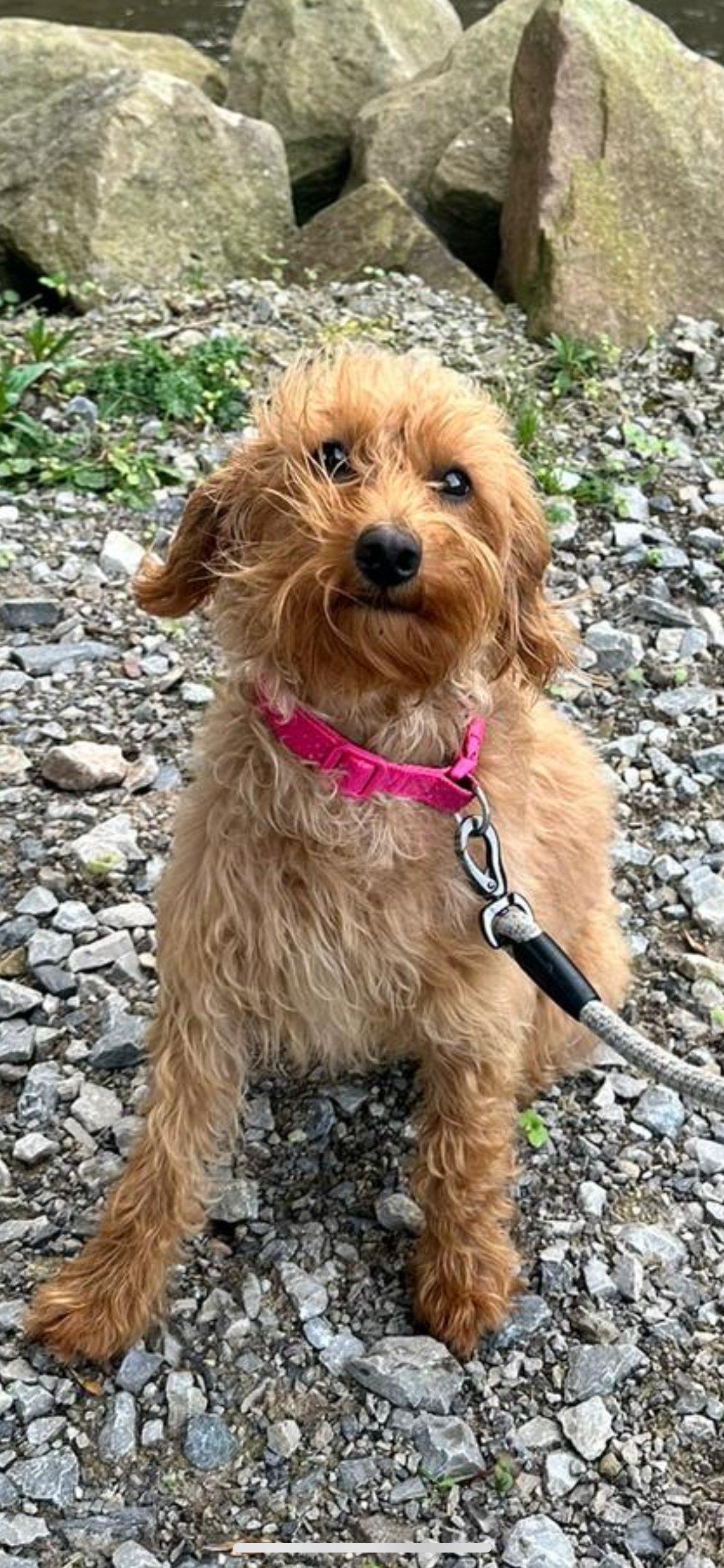 Winnie