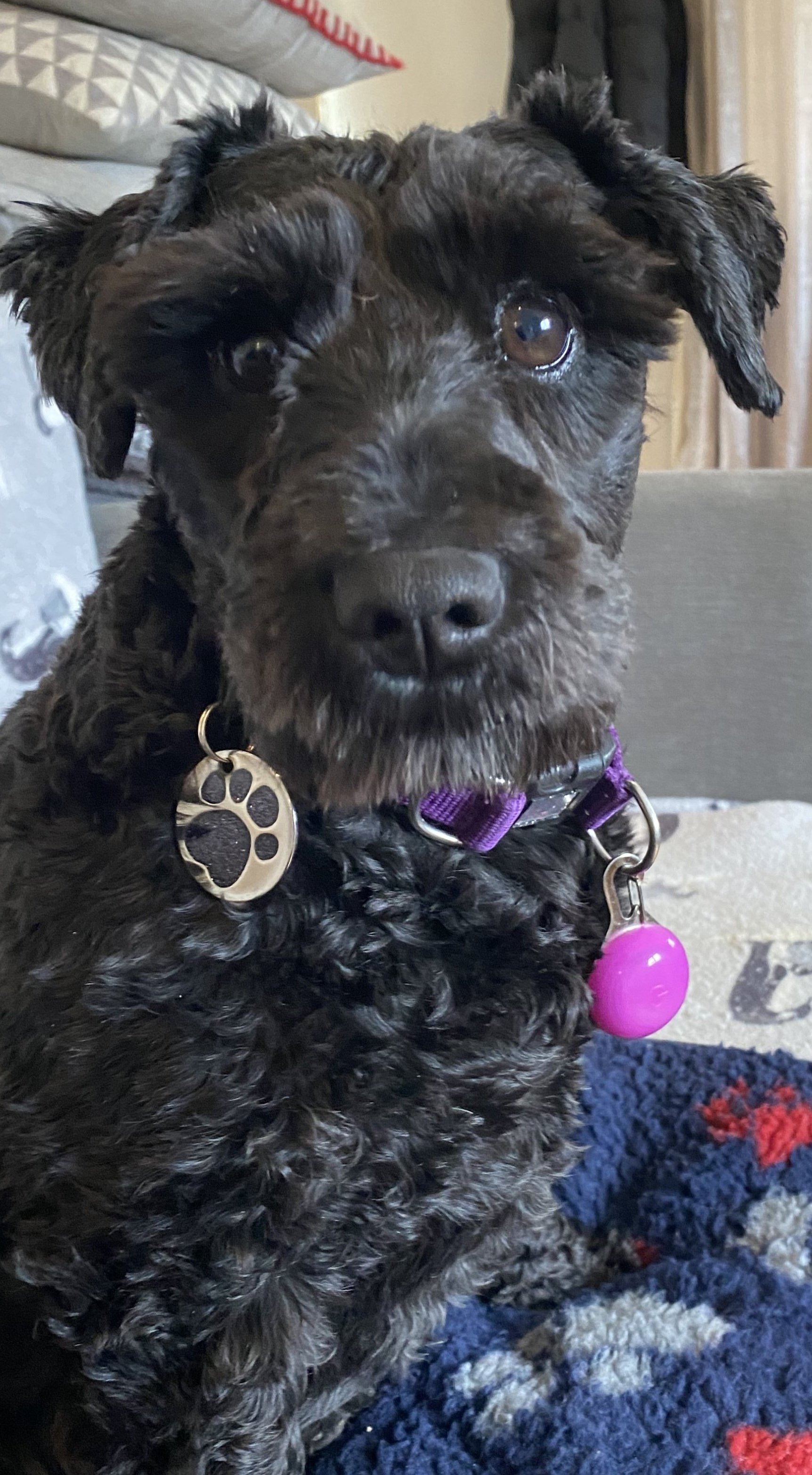 Matilda