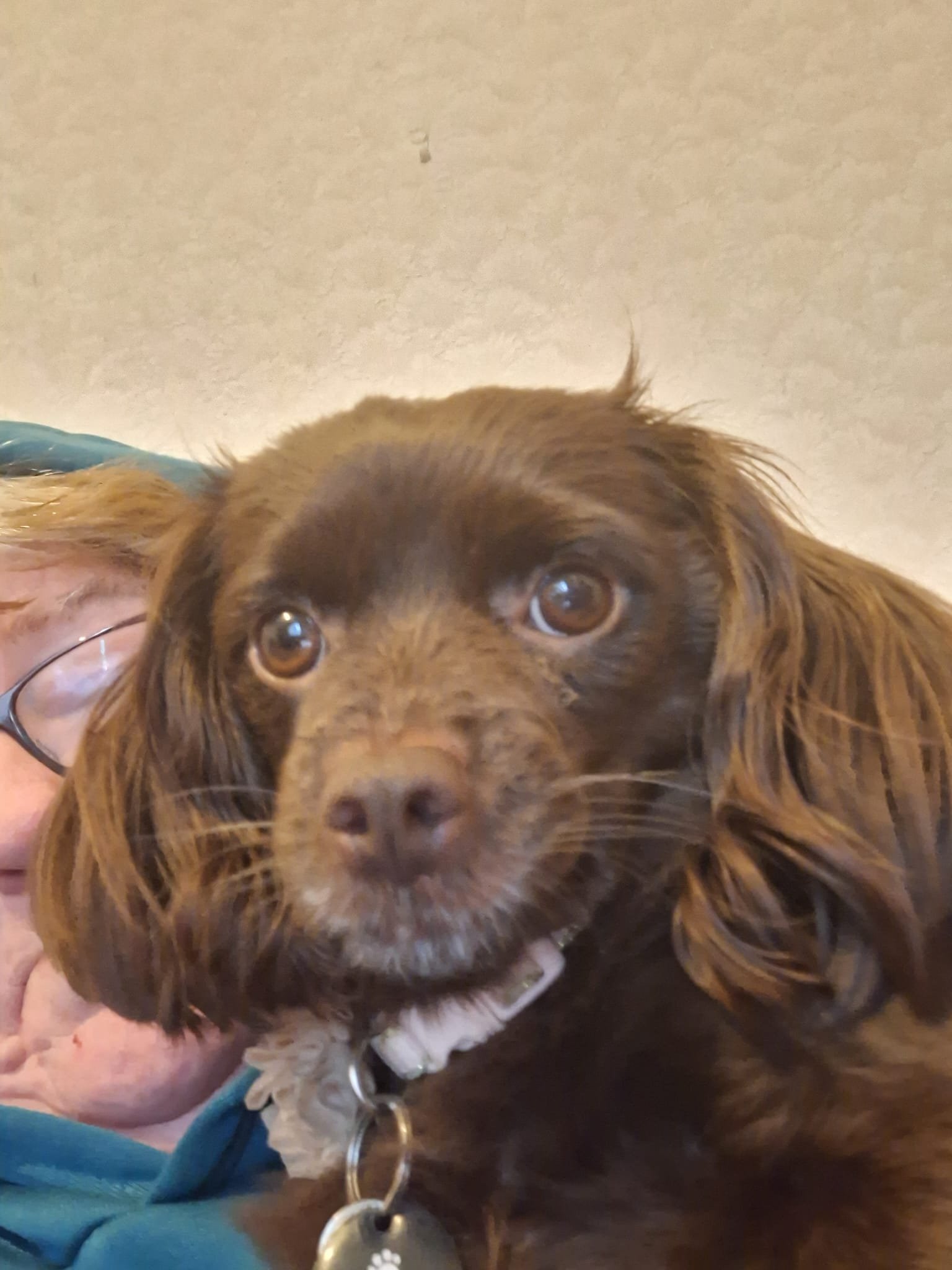 Abbie and Skye