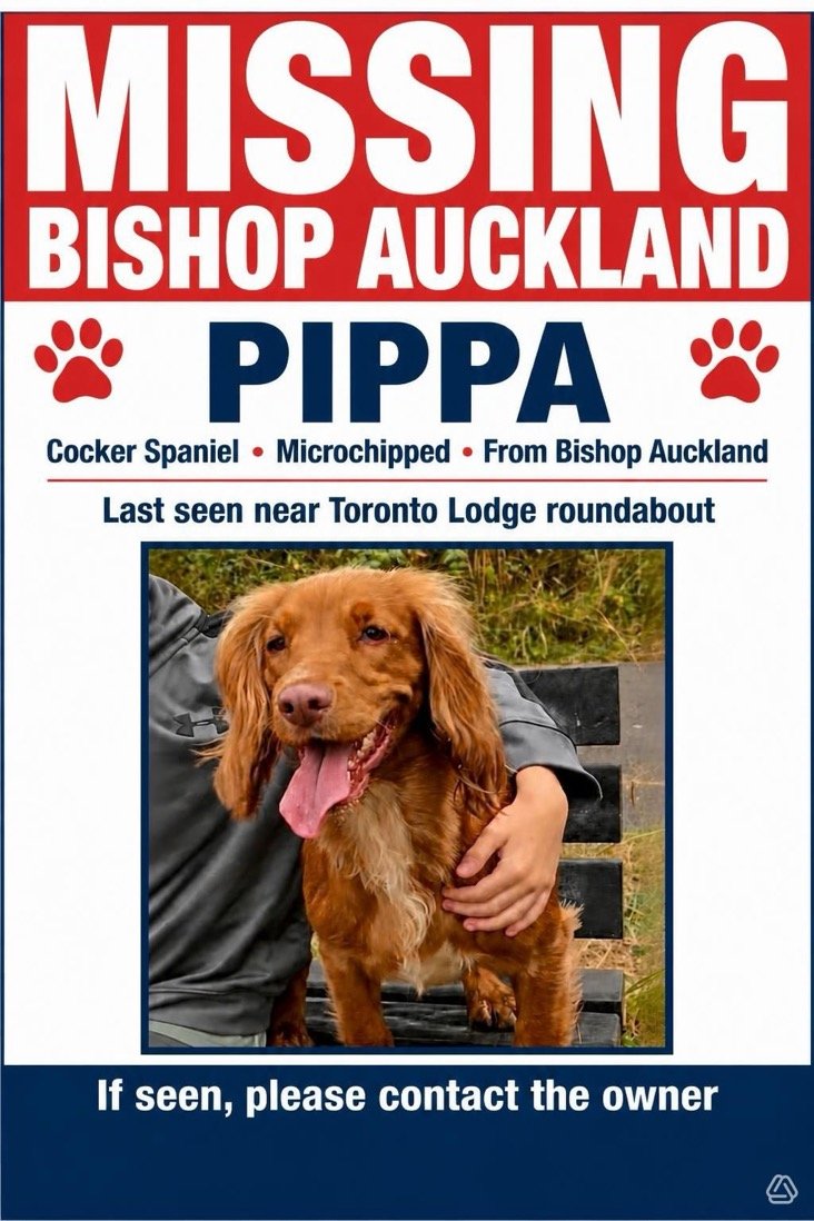 Pippa