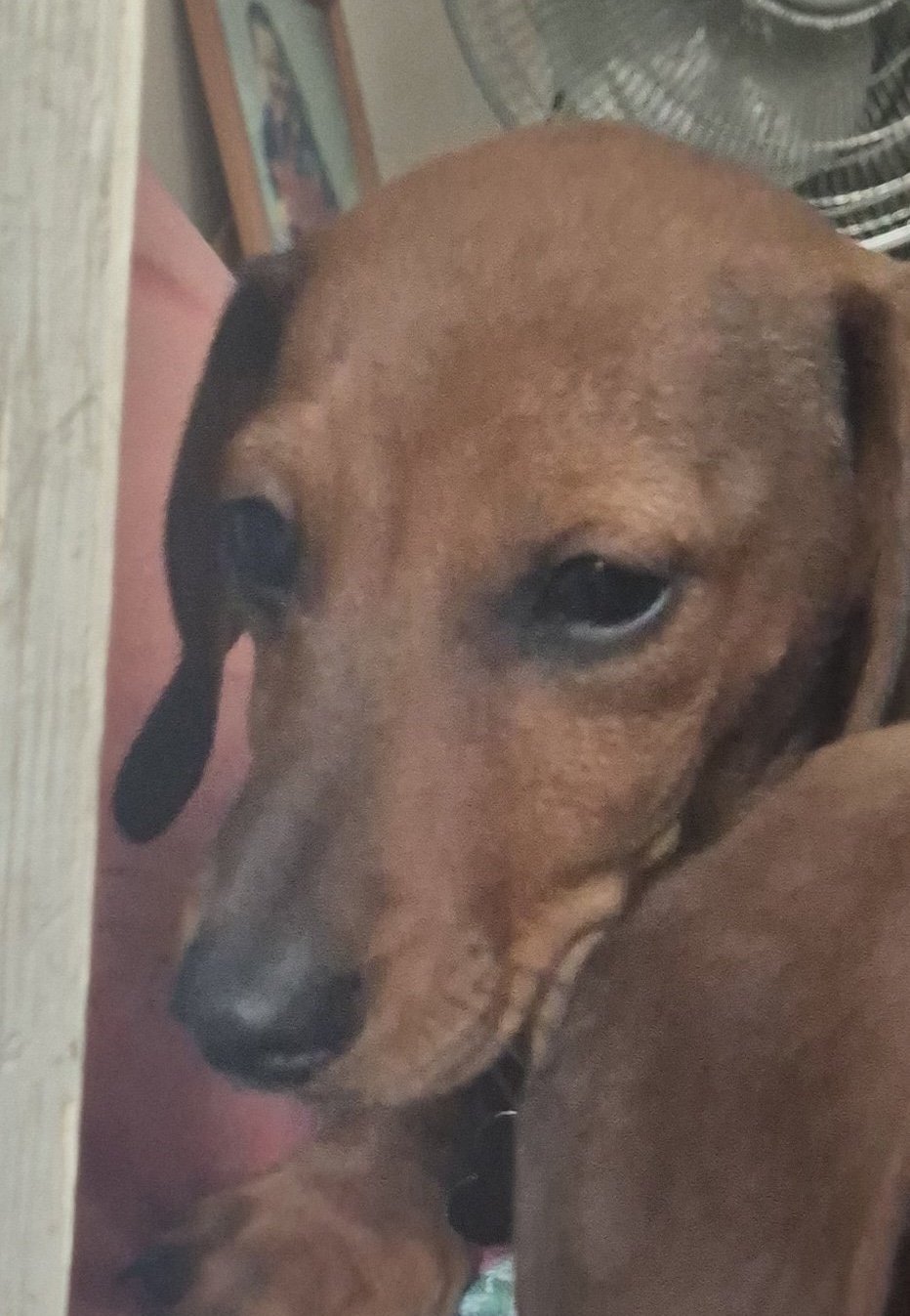 Axel