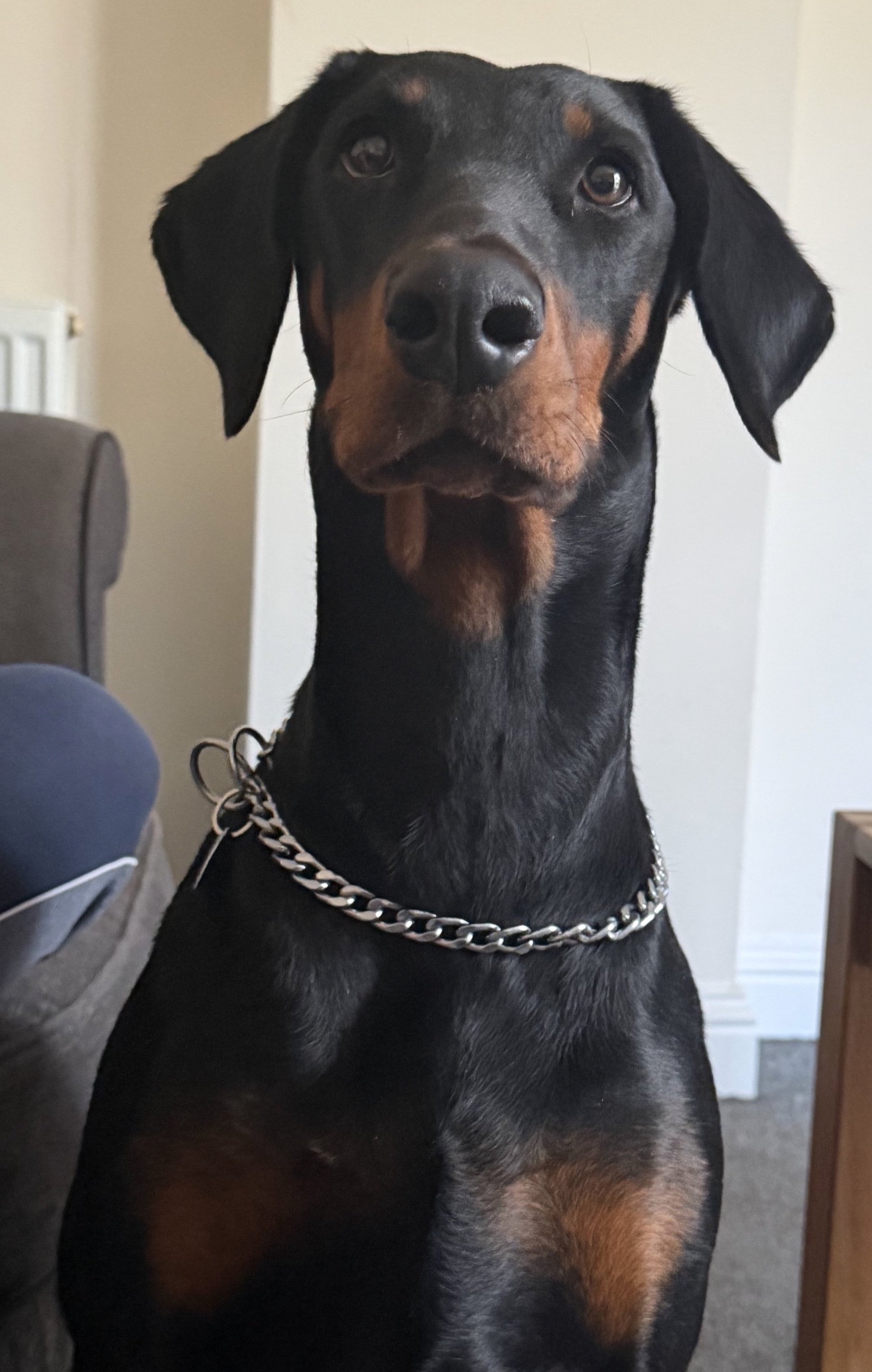 Xena