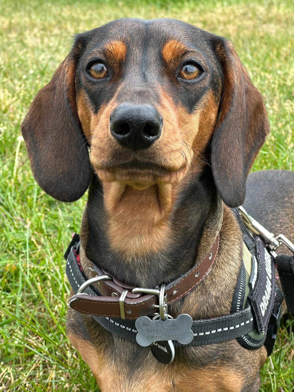 Pebbles