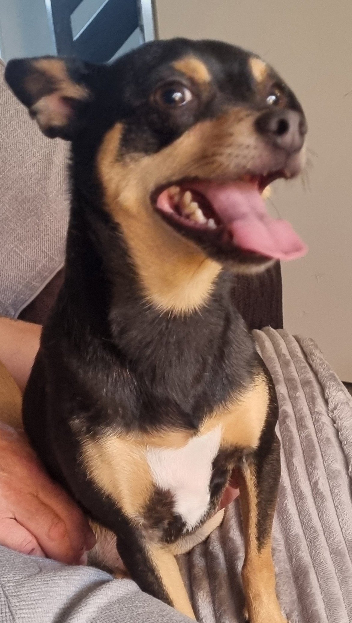 Gino