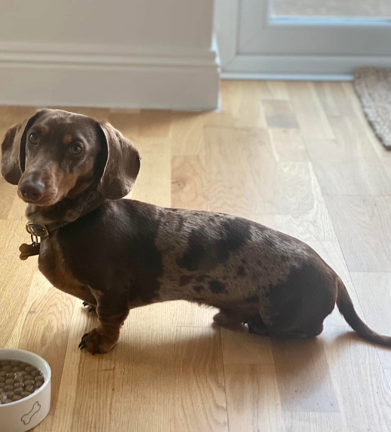 Benji