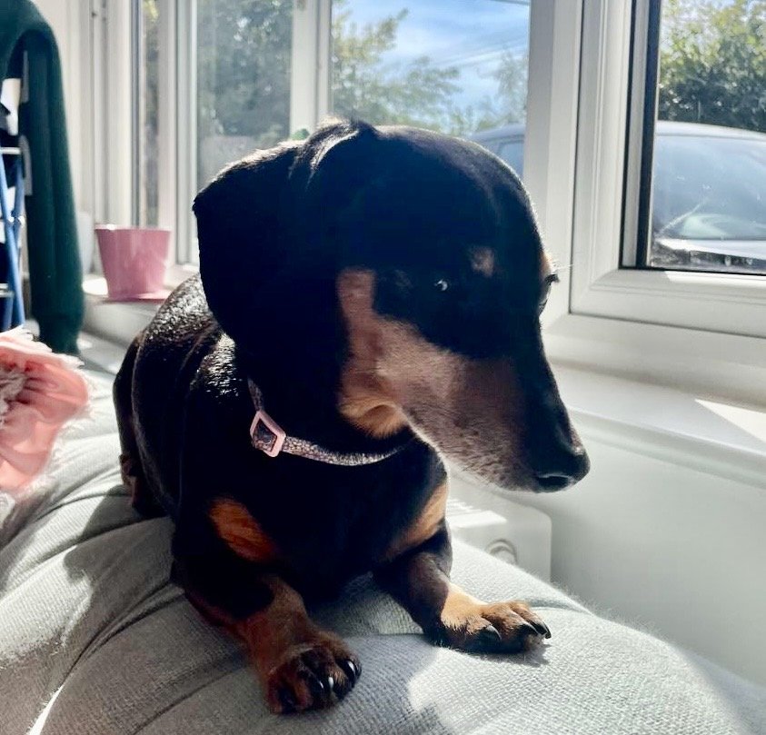 Darcy