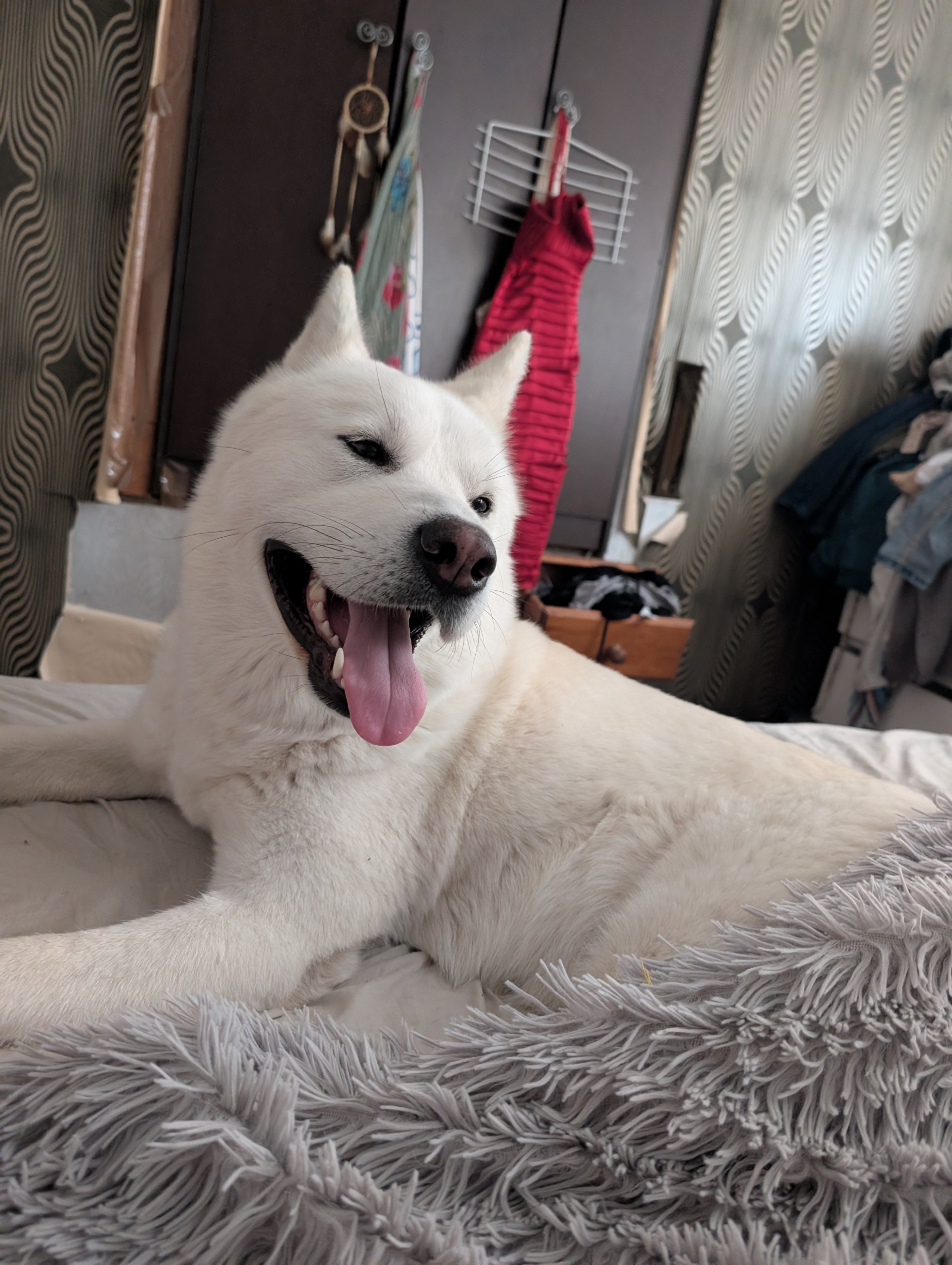 Alaska