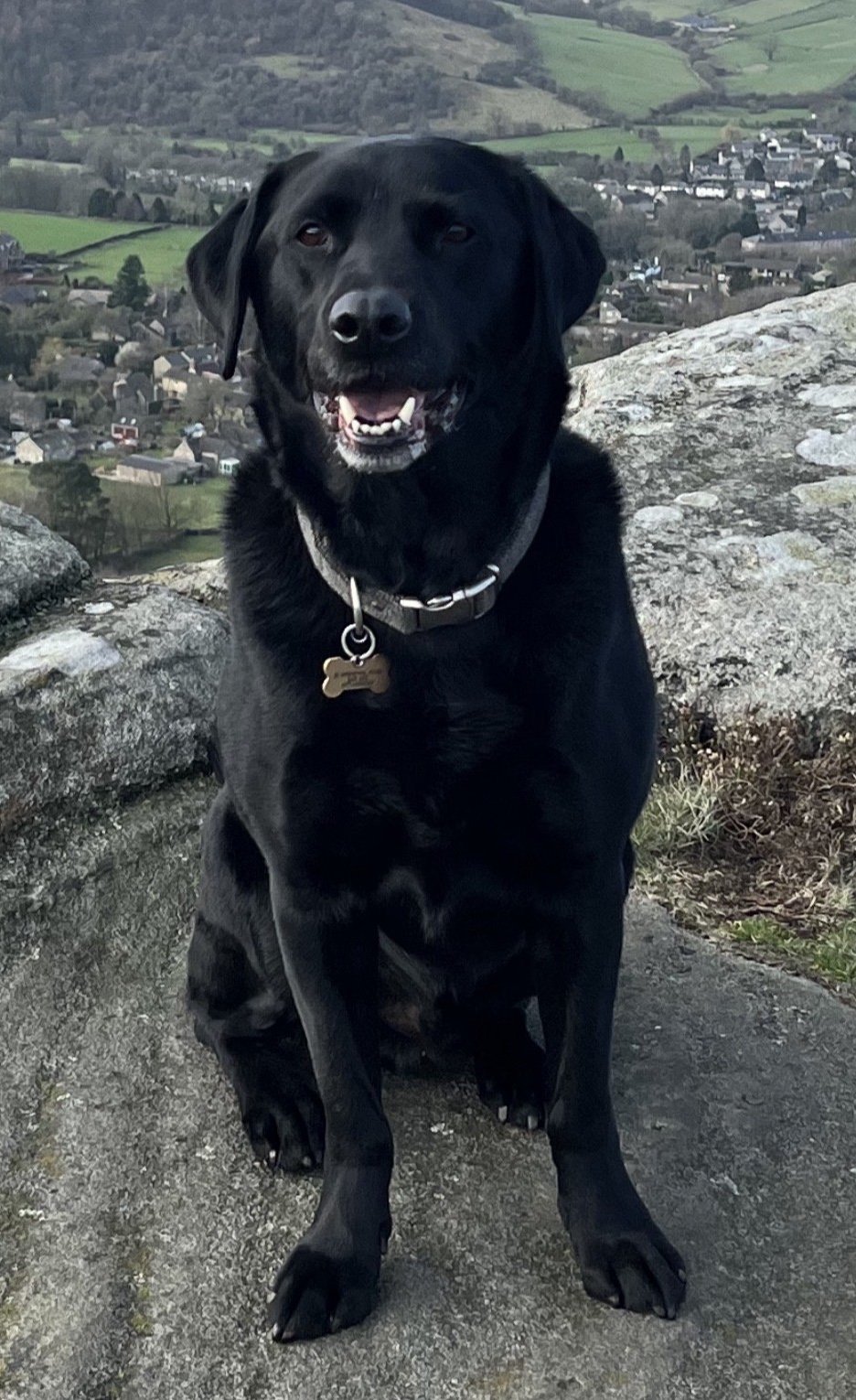 Dylan