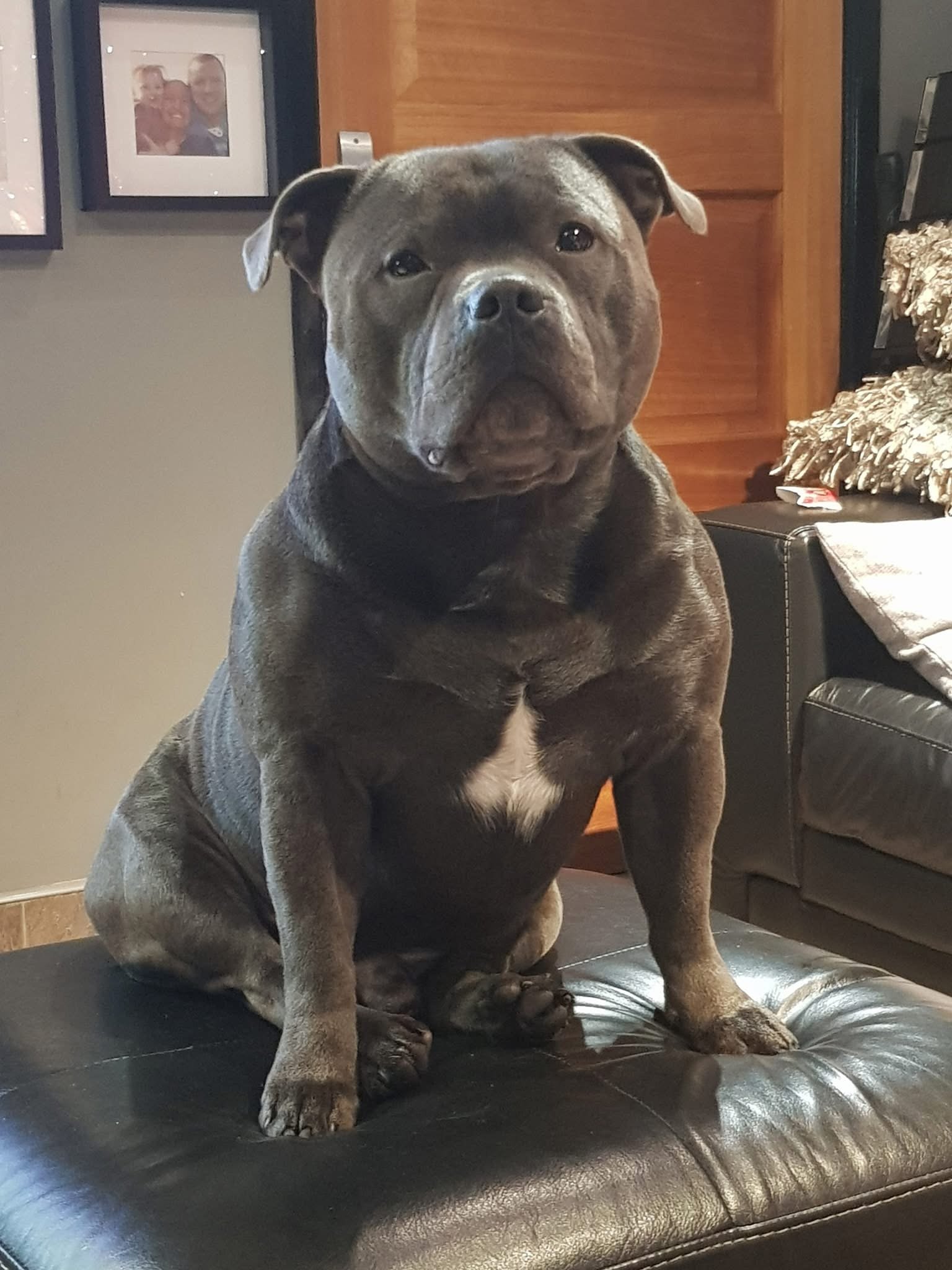 Frank