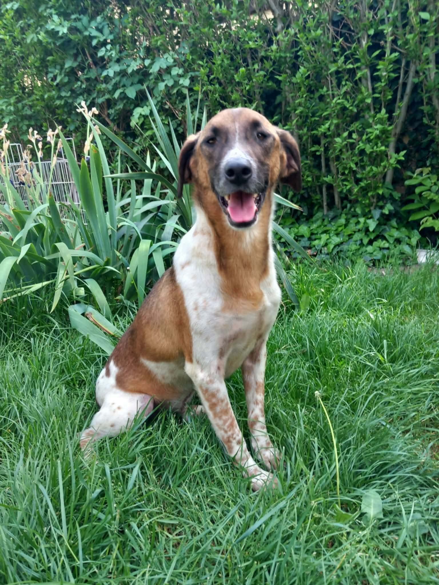 Jack