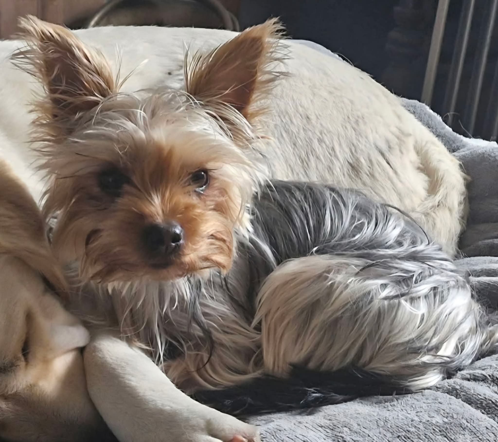 Ellie