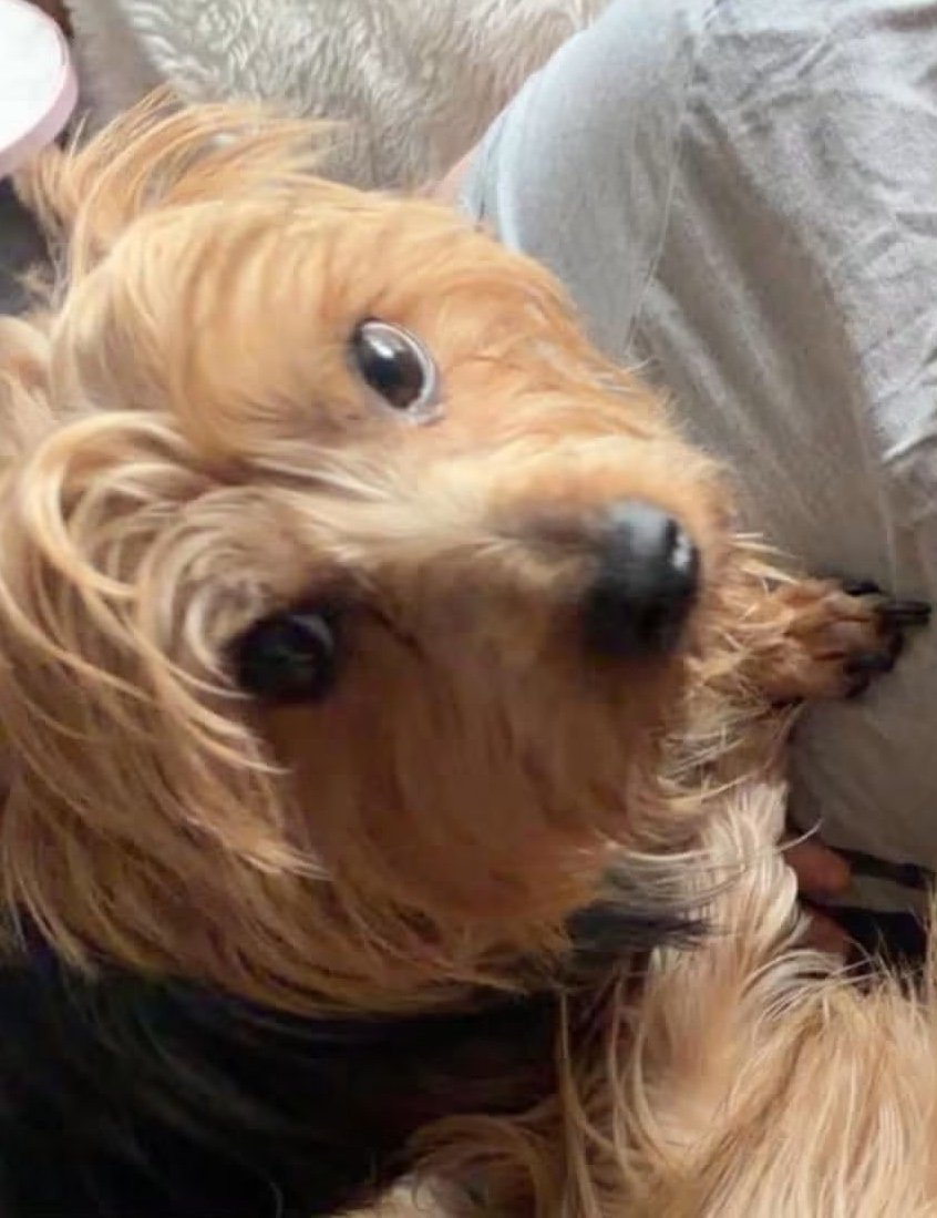 Mable