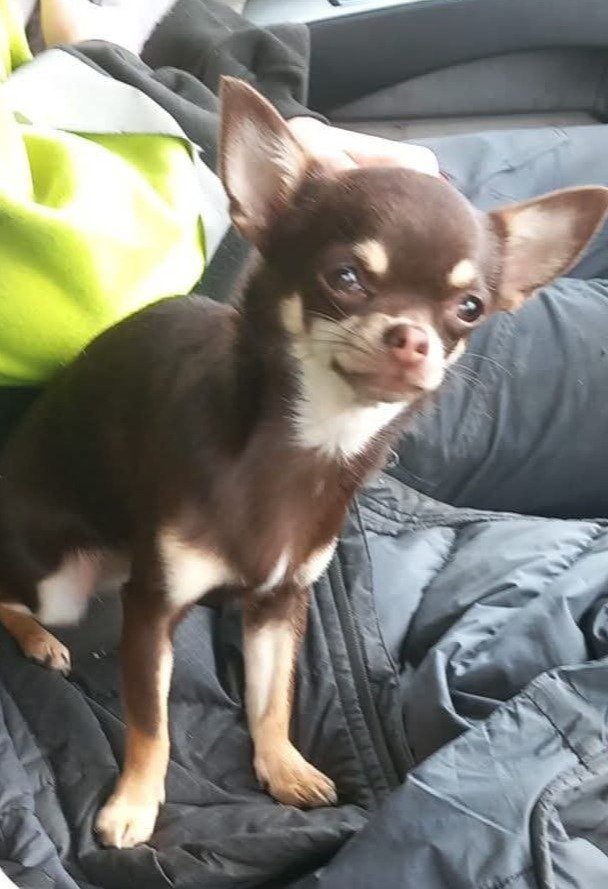 Coco
