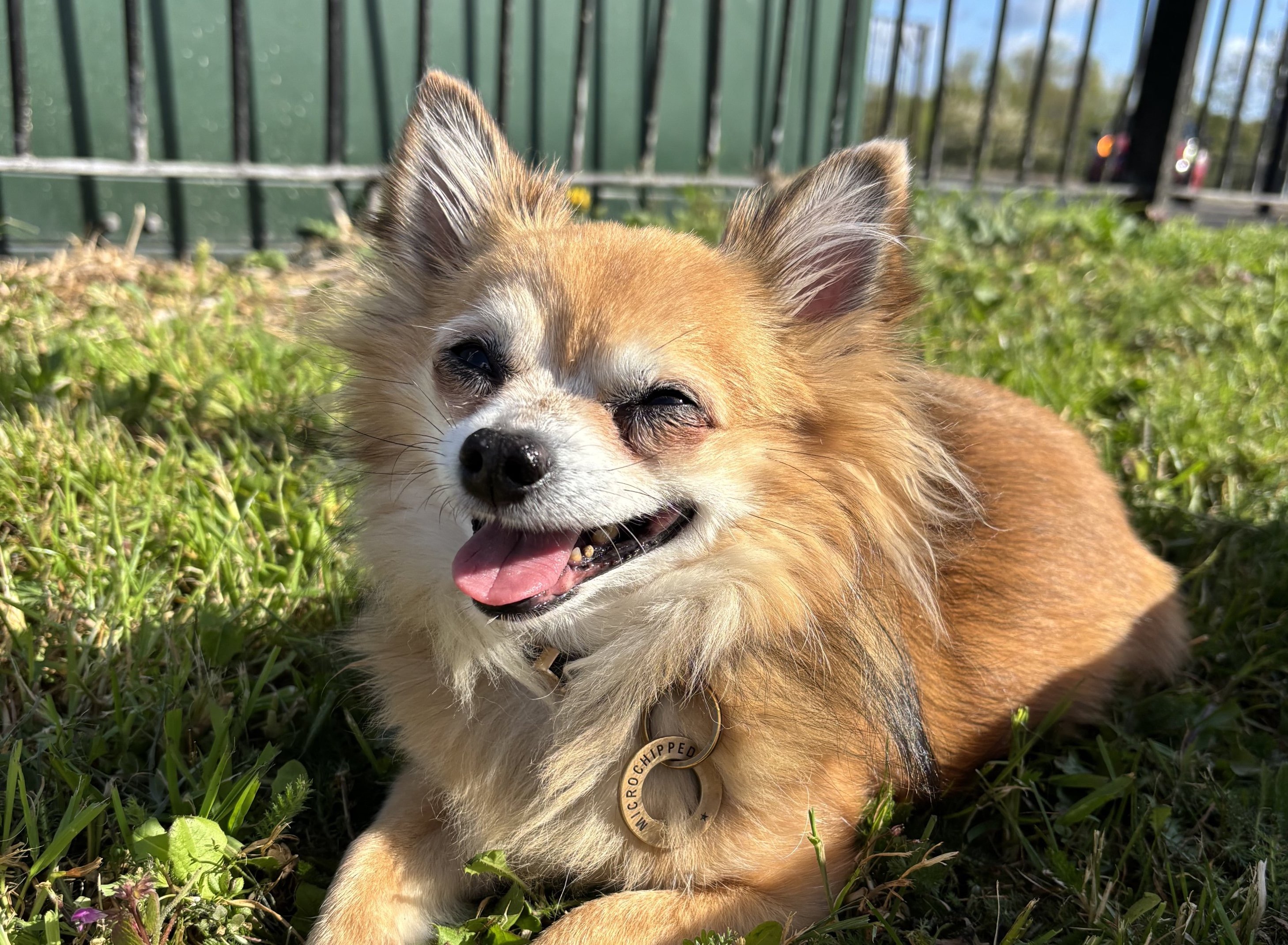 Marley