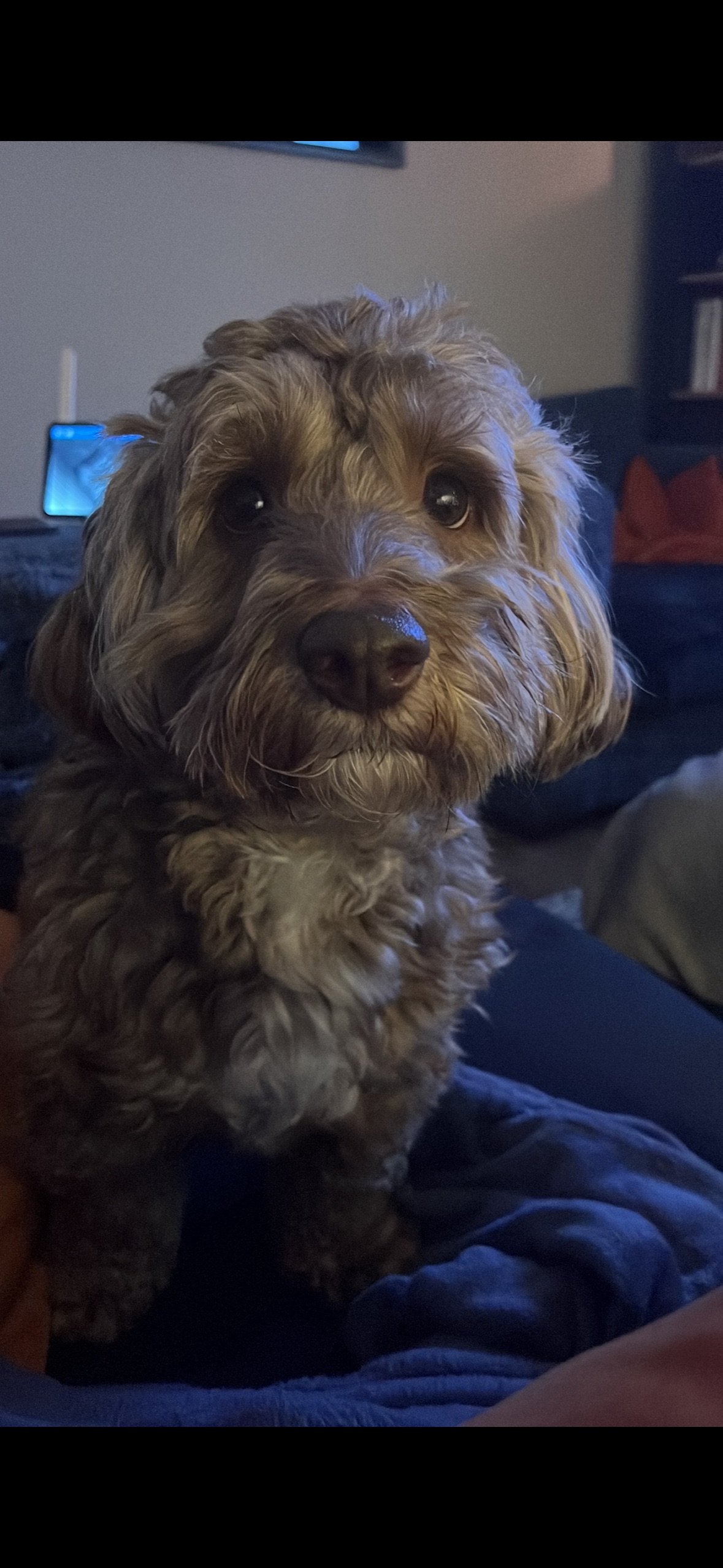 Hugo