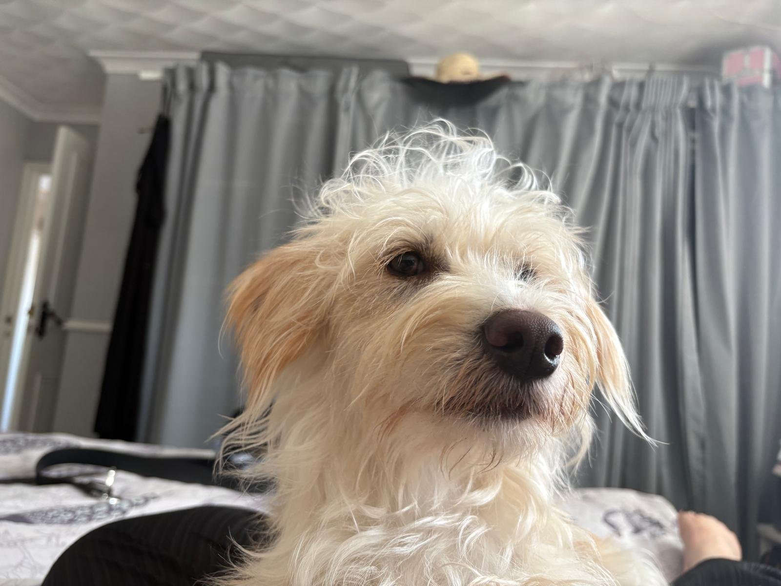 Coco