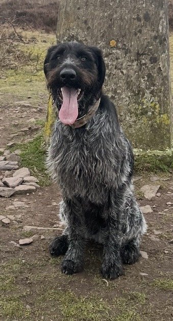 Otis