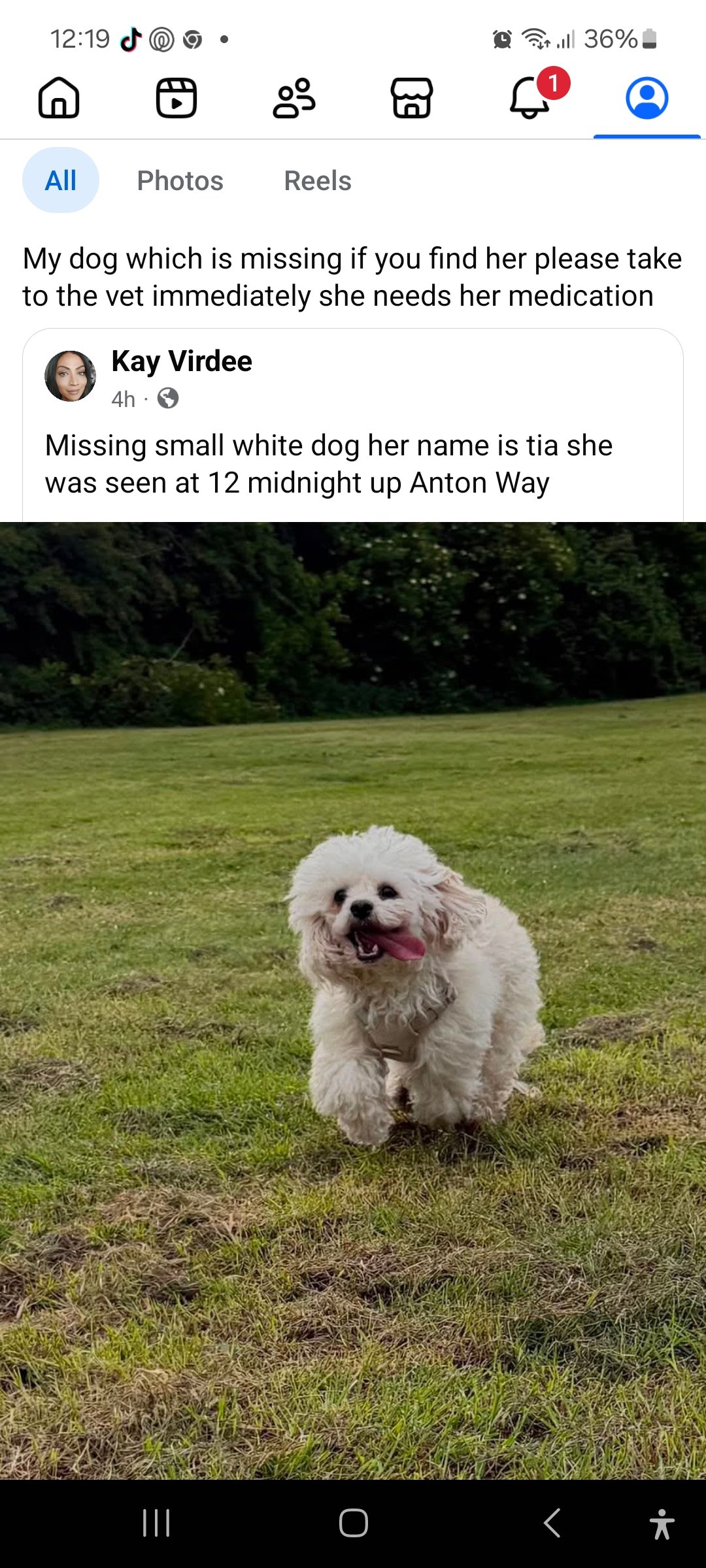 Tia