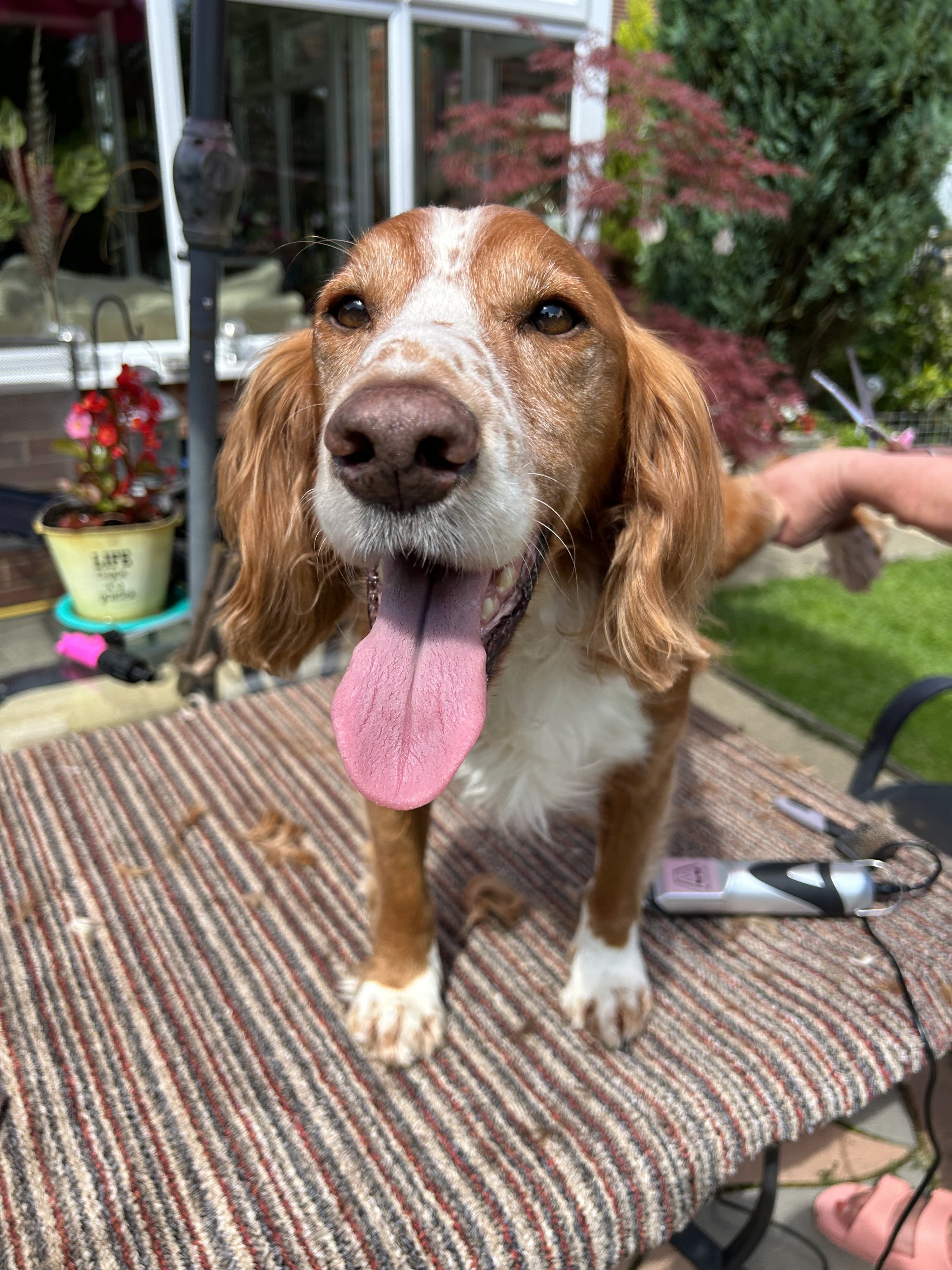 Copper