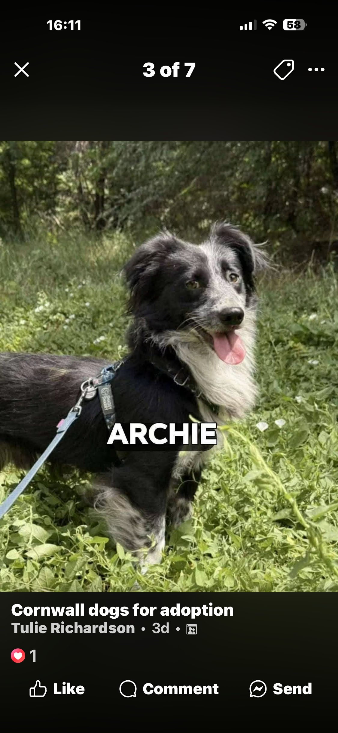Archie