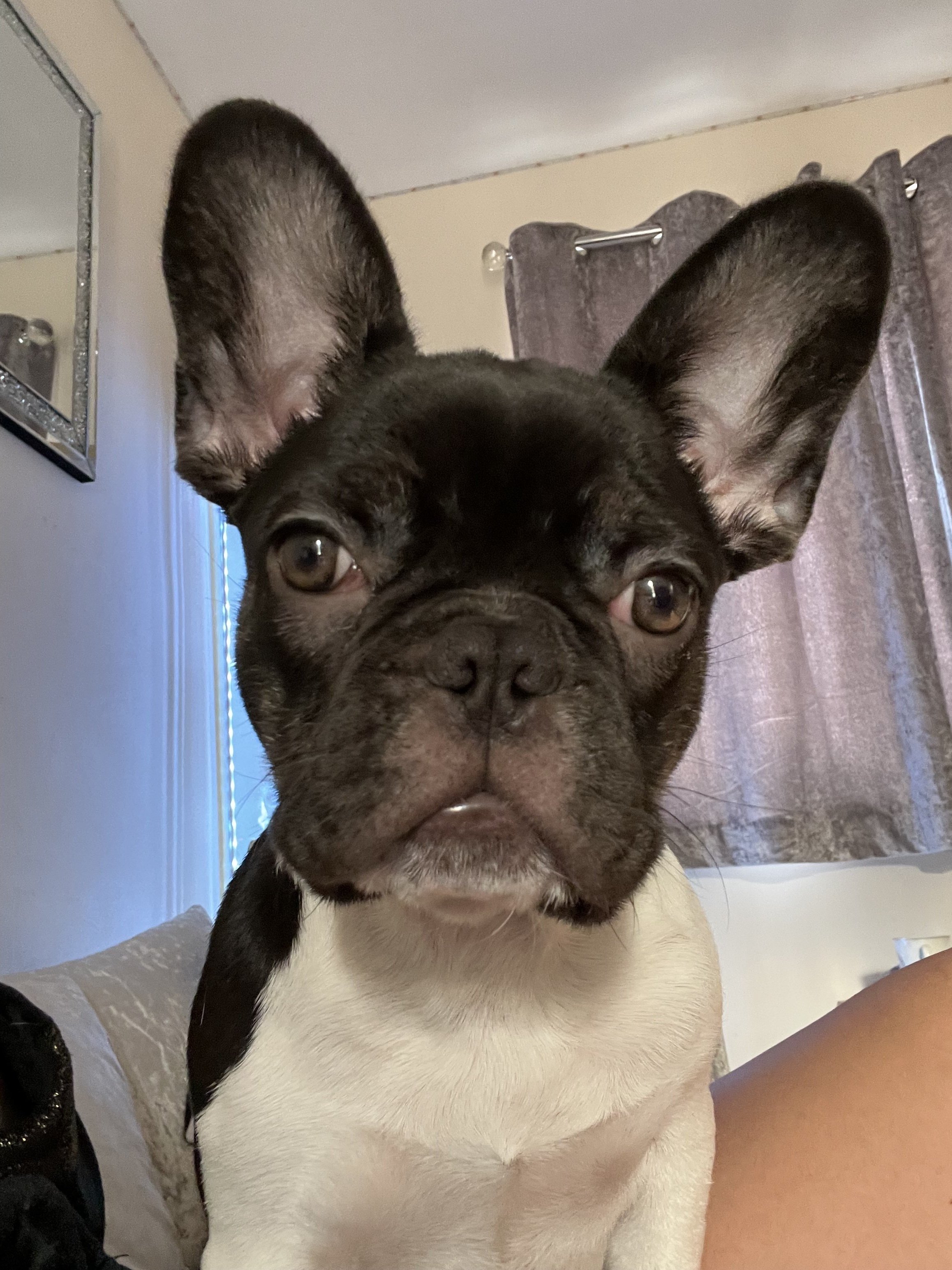 Coco