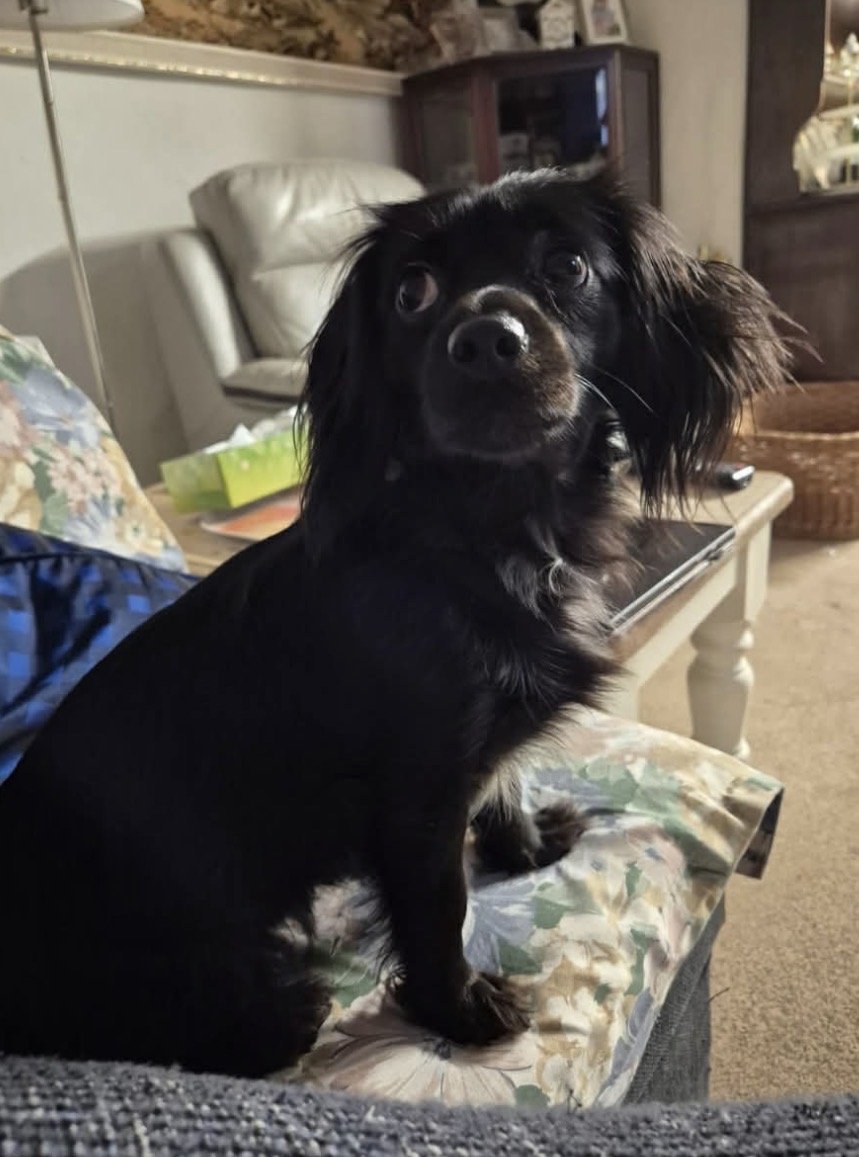 Patsy (Missy)