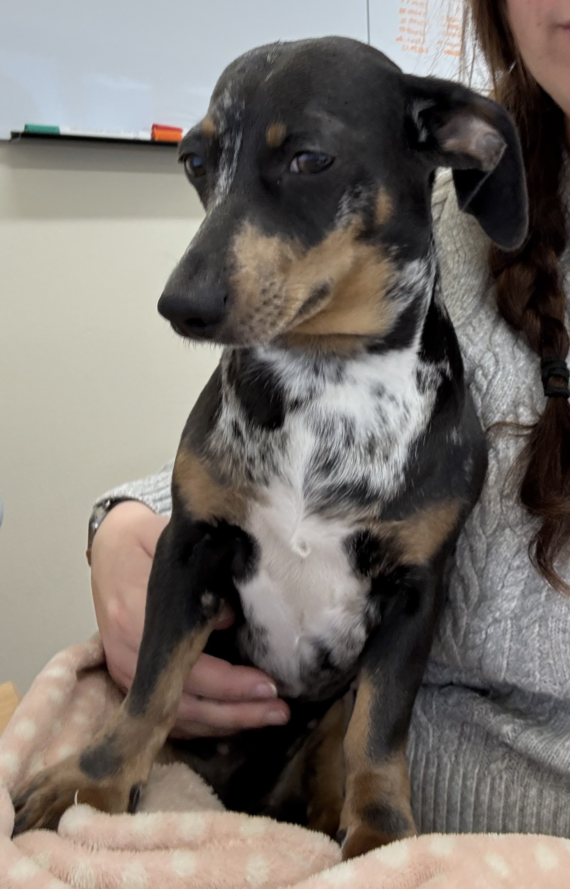 Winnie