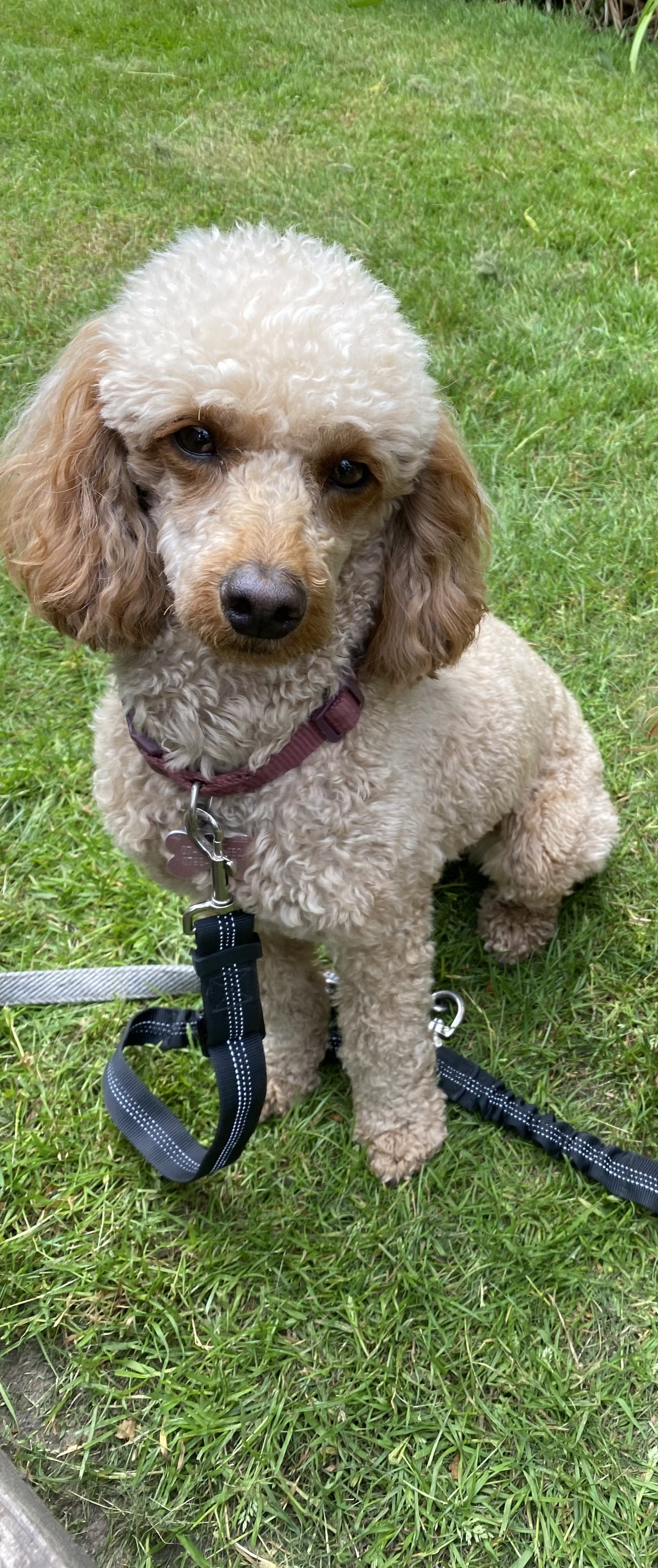 Winnie