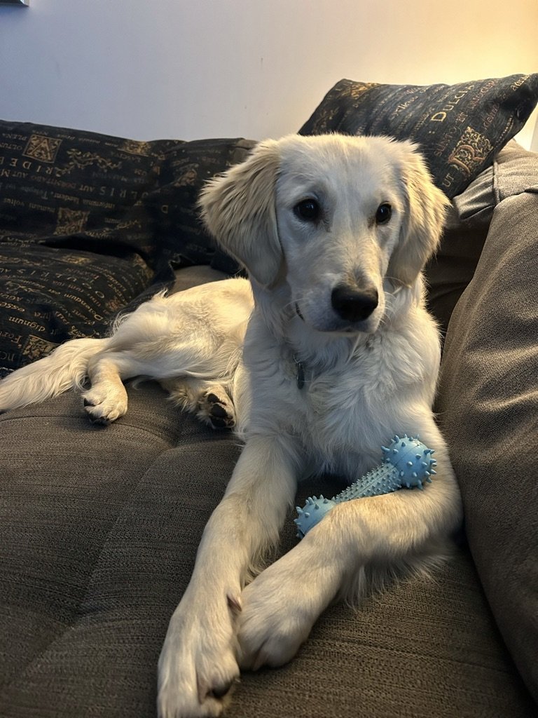 Luna